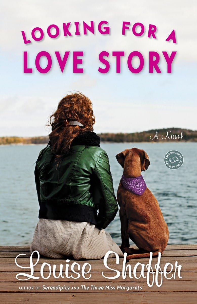 Looking for a Love Story: A Novel book
