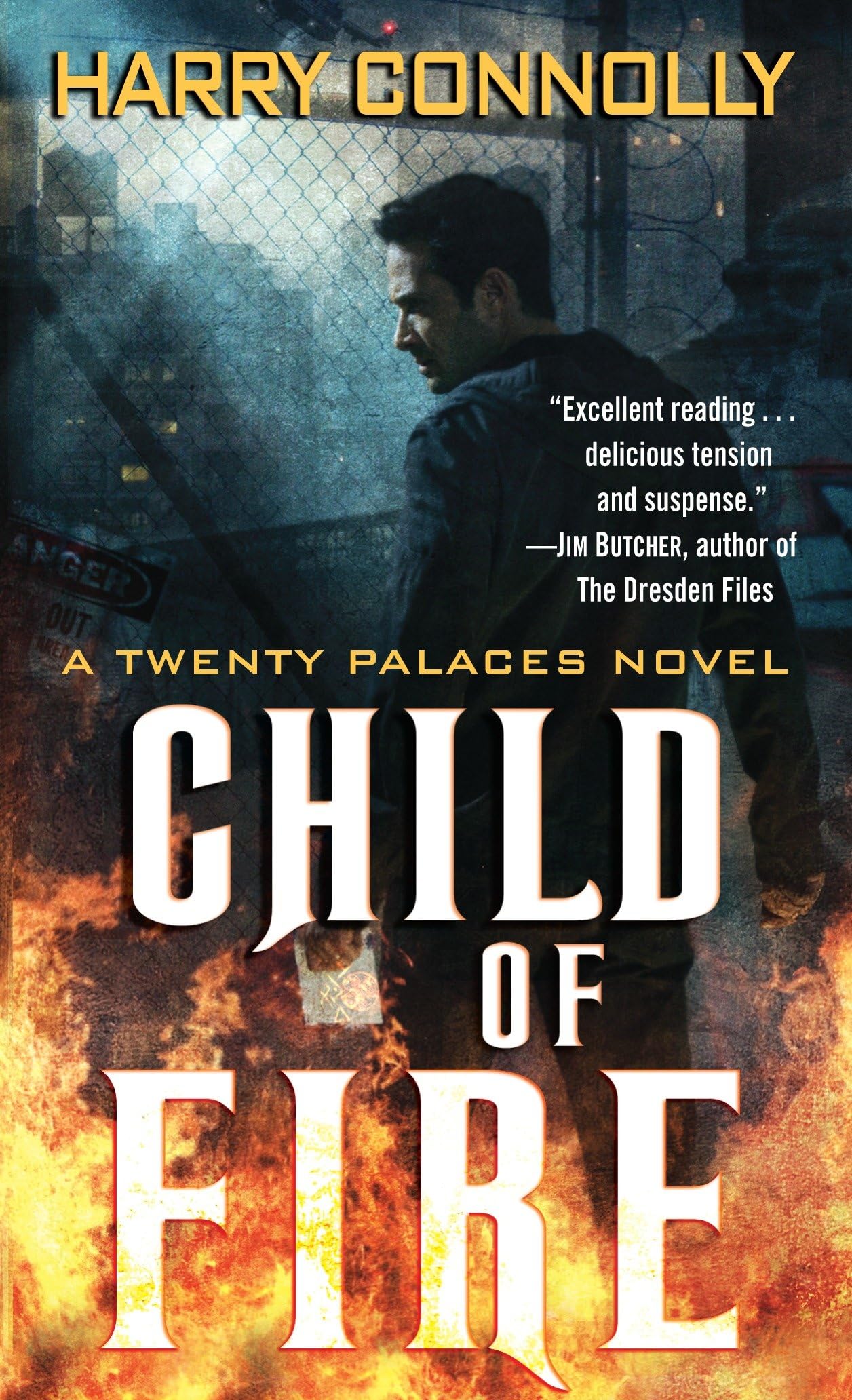 Child of Fire Contemporary literature