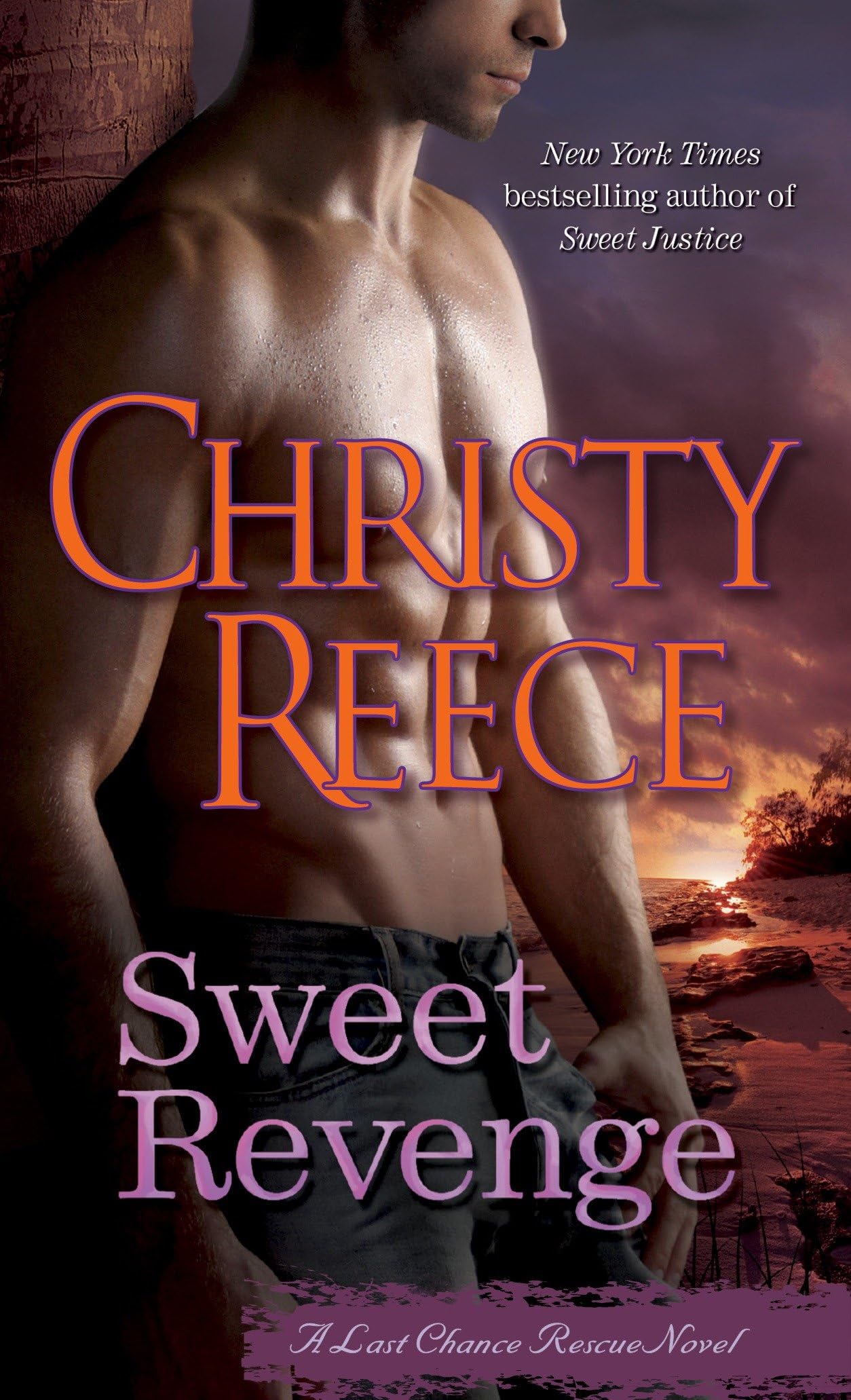 Sweet Revenge: A Last Chance Rescue Novel Contemporary literature