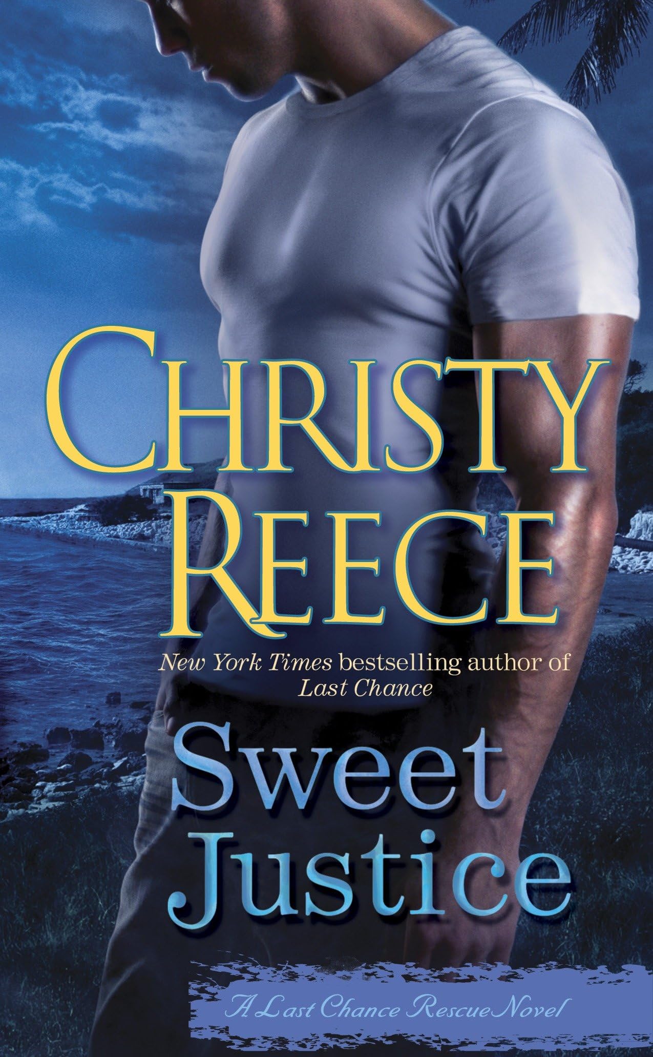 Sweet Justice: A Last Chance Rescue Novel Contemporary literature