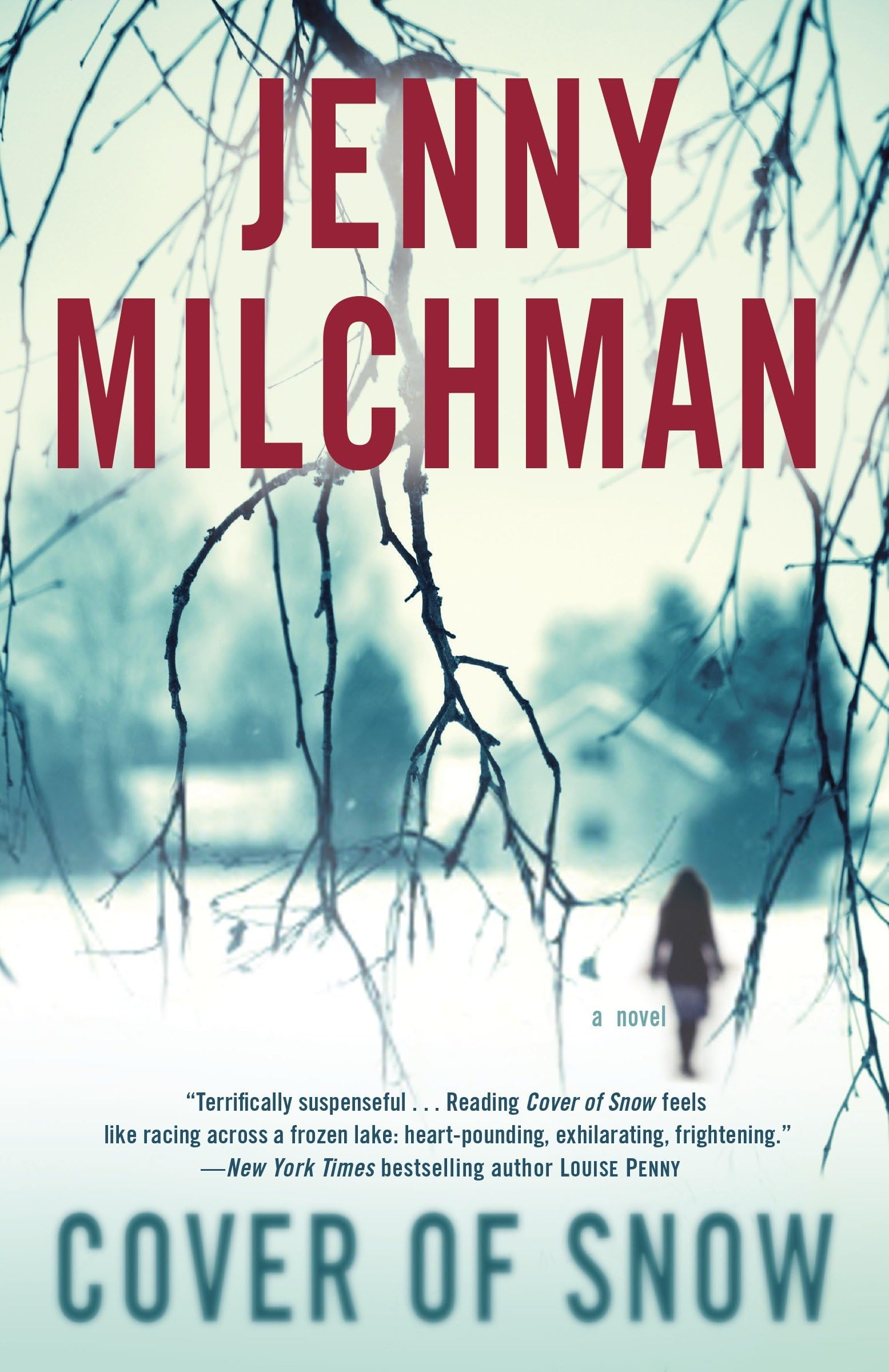 Cover of Snow: A Novel Action & Adventure