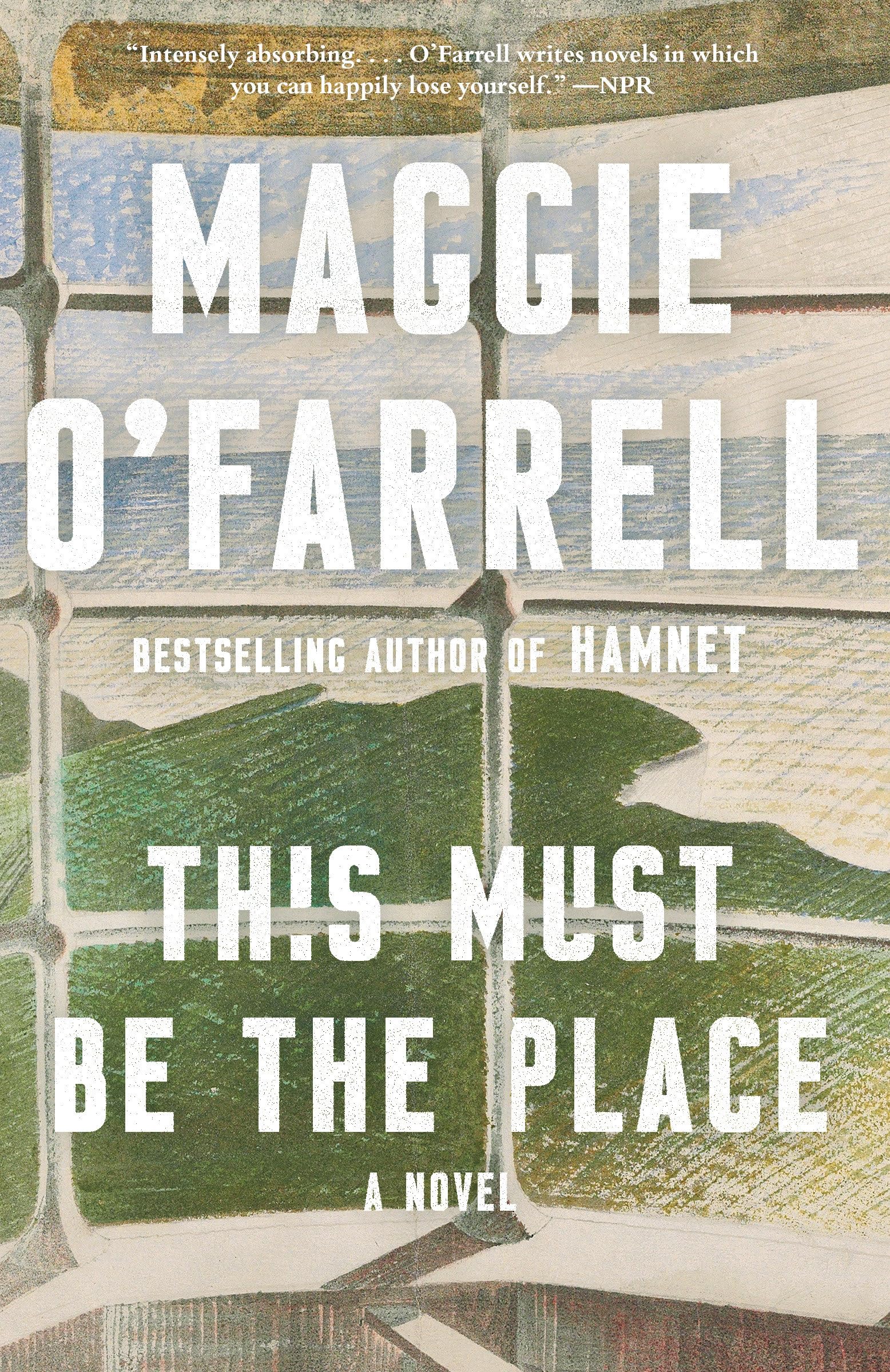 This Must Be the Place (Vintage Contemporaries) Humour & Satire