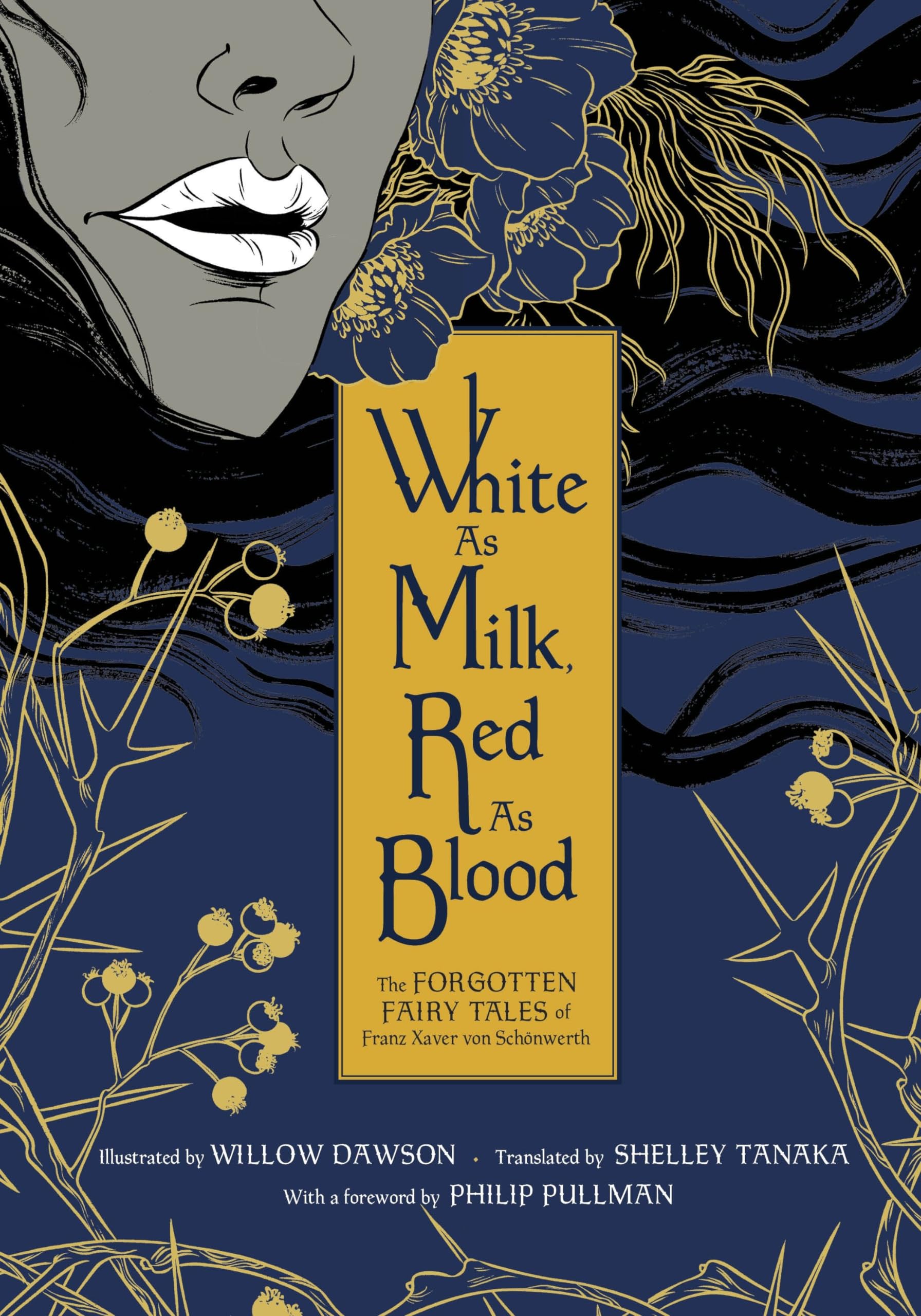 White As Milk, Red As Blood: The Forgotten Fairy Tales of Franz Xaver Von Schönwerth Contemporary literature Books