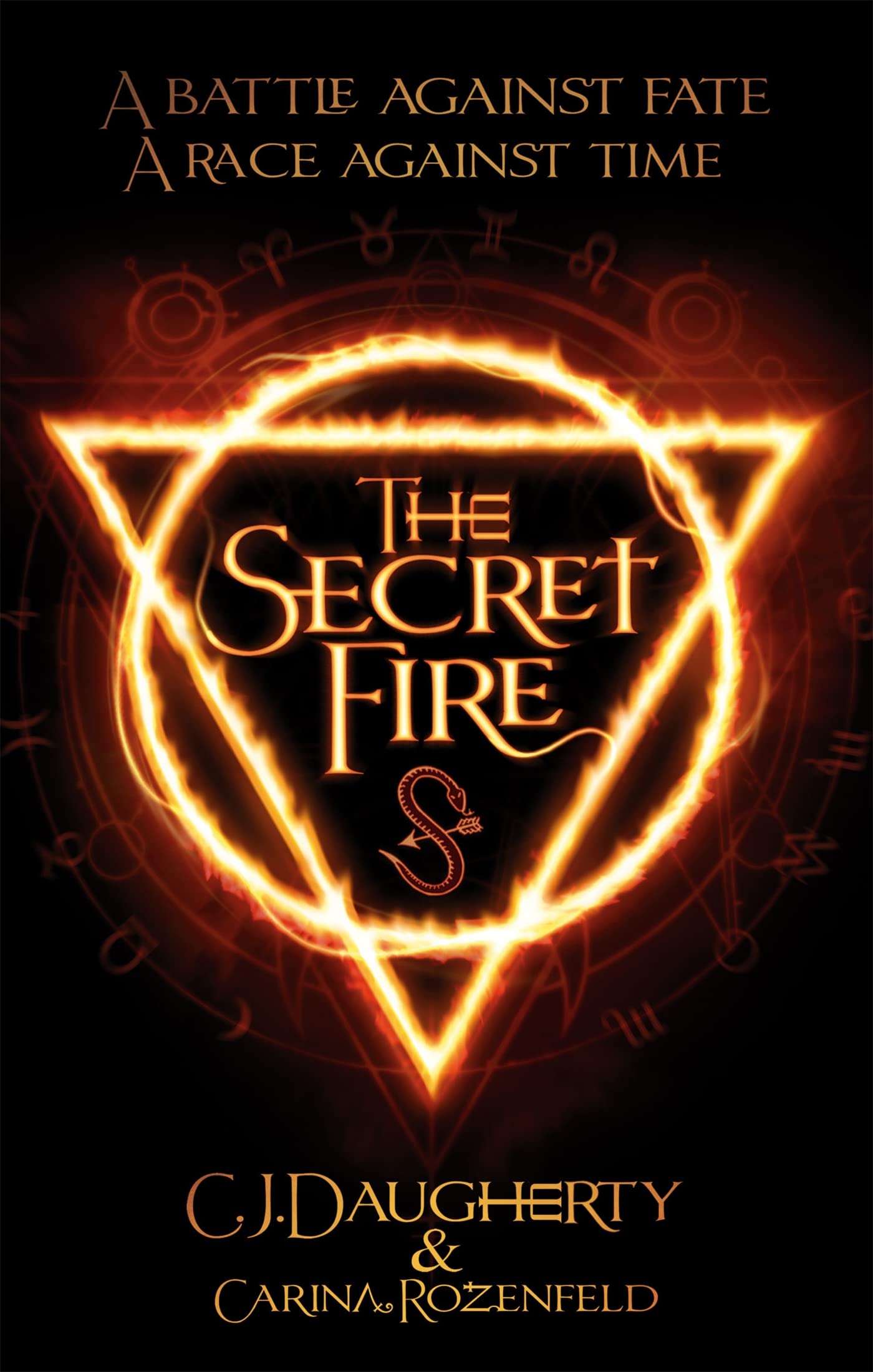 The Secret Fire Romantic Fantasy Books
