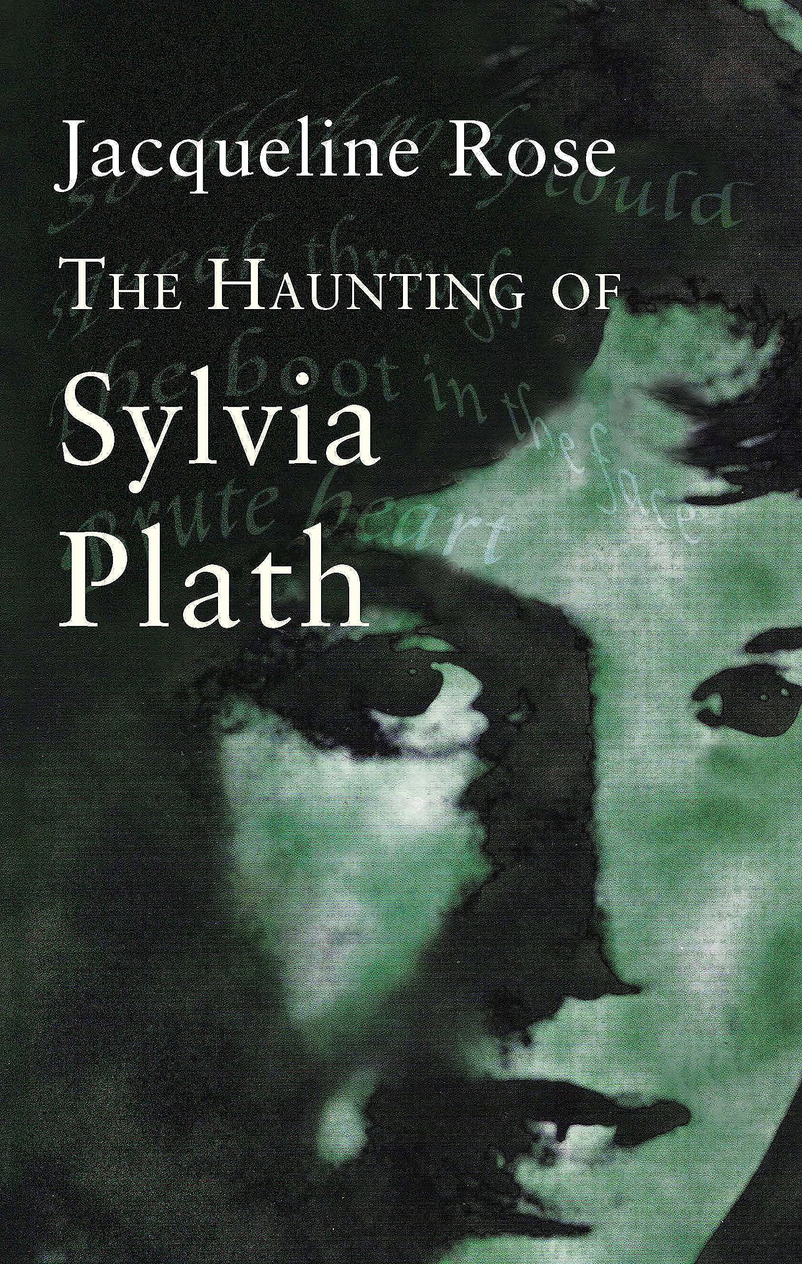 The Haunting Of Sylvia Plath (Virago classic non-fiction) Social Sciences