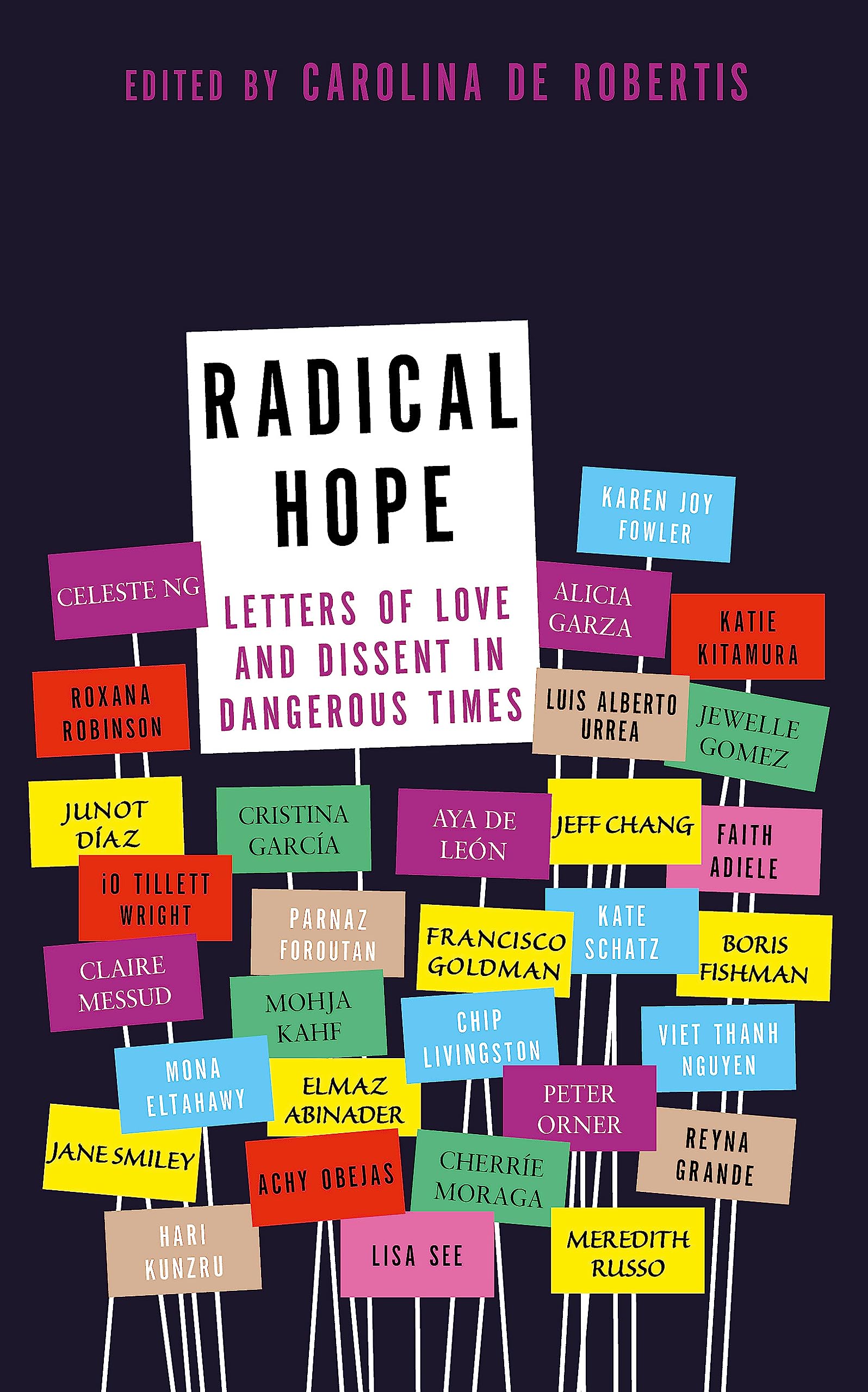 Radical Hope: Letters of Love and Dissent in Dangerous Times Essays & Short Stories