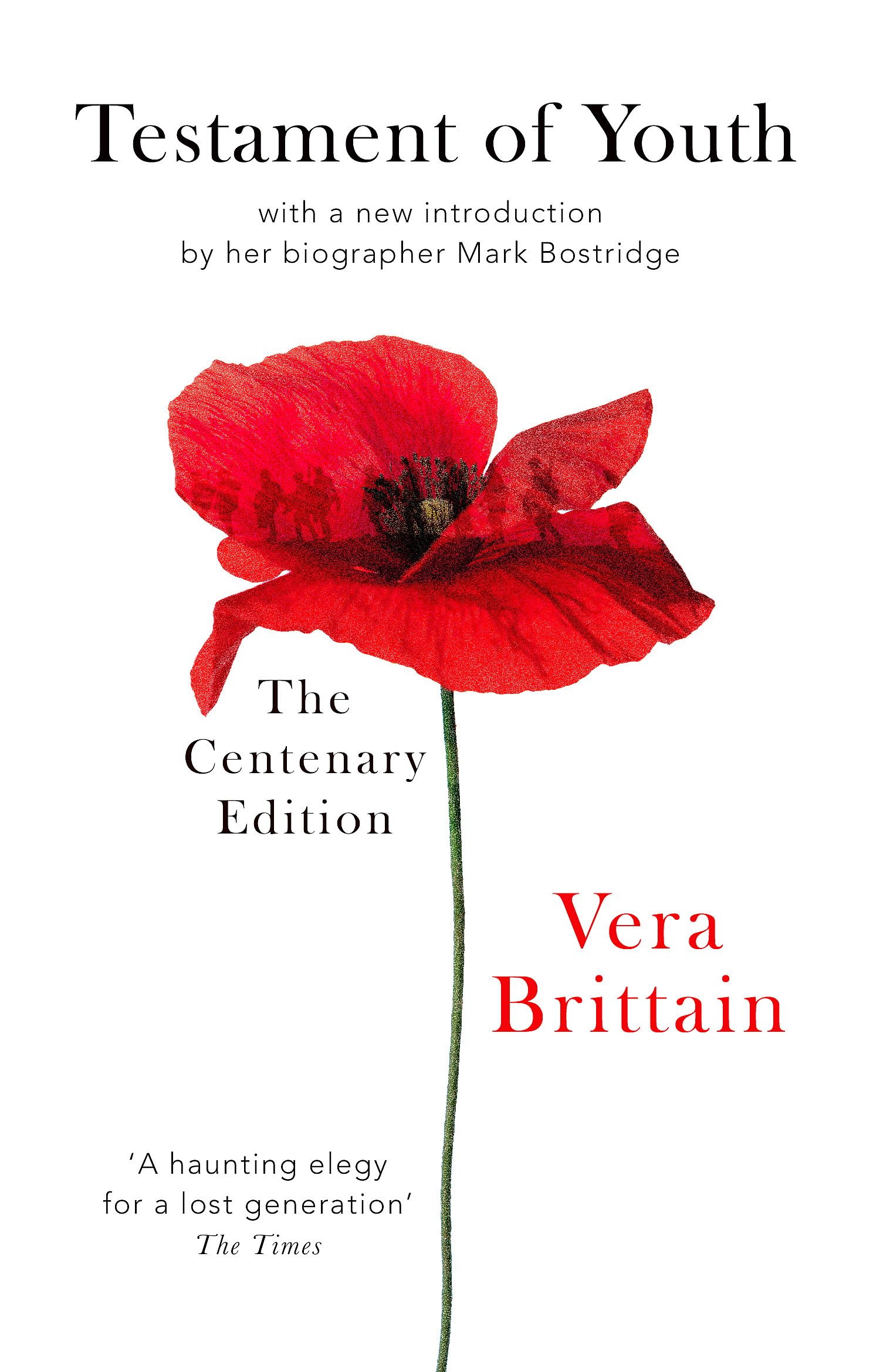Testament Of Youth: An Autobiographical Study of the Years 1900-1925 (Virago classic non-fiction) Books
