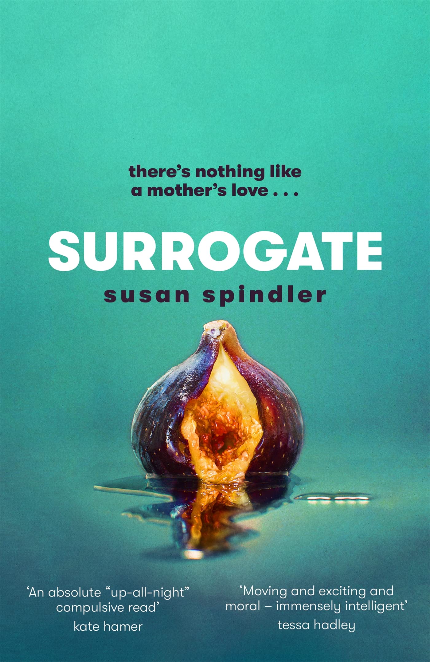 Surrogate: 'An absolute belter of a page-turner' HEAT Contemporary literature