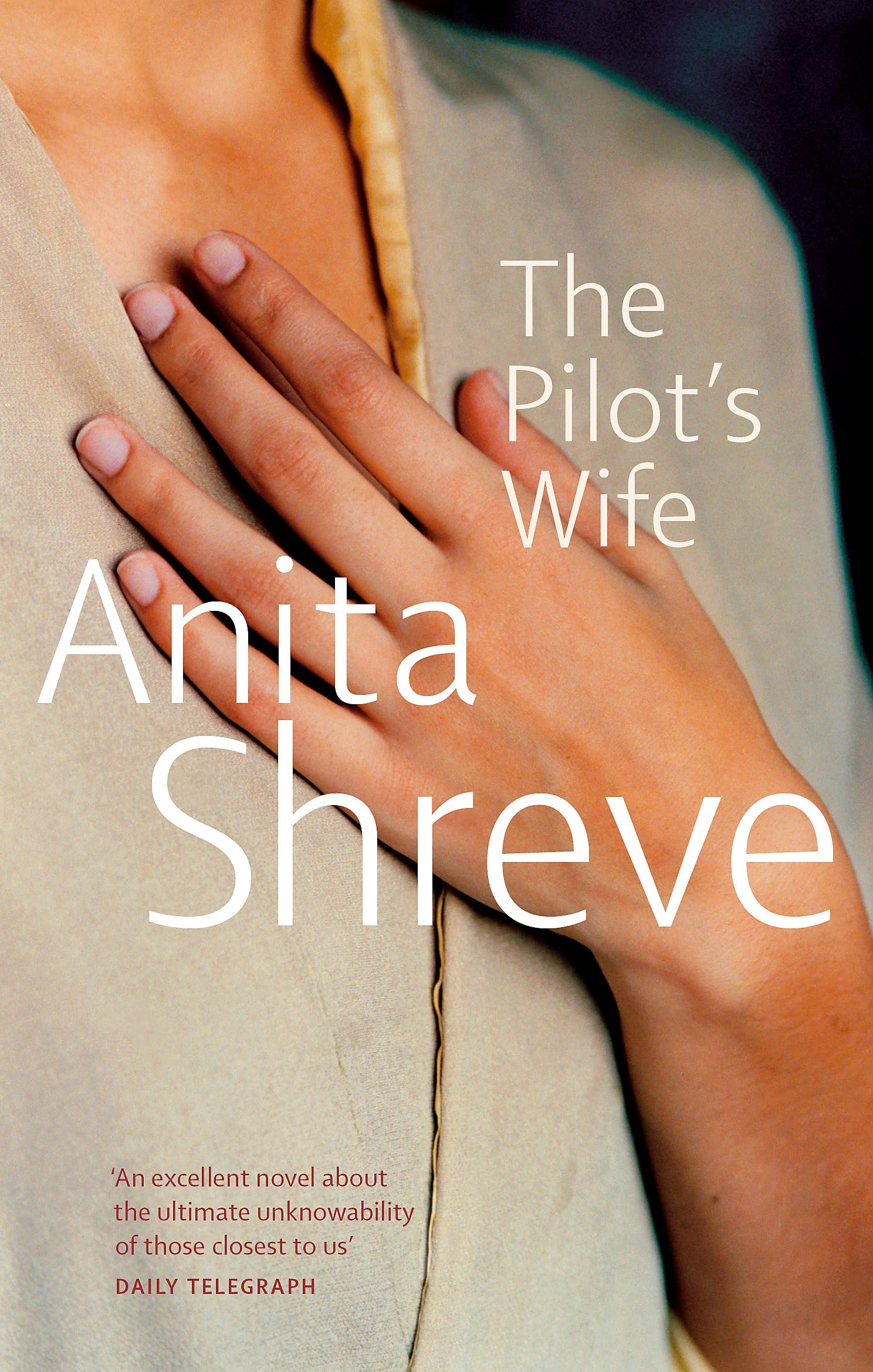 The Pilot's Wife Contemporary literature