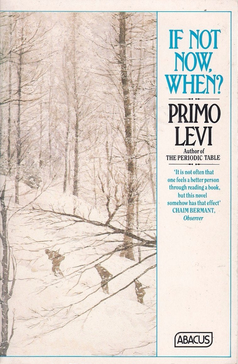 Product Image: If not Now, when? (Abacus Books)