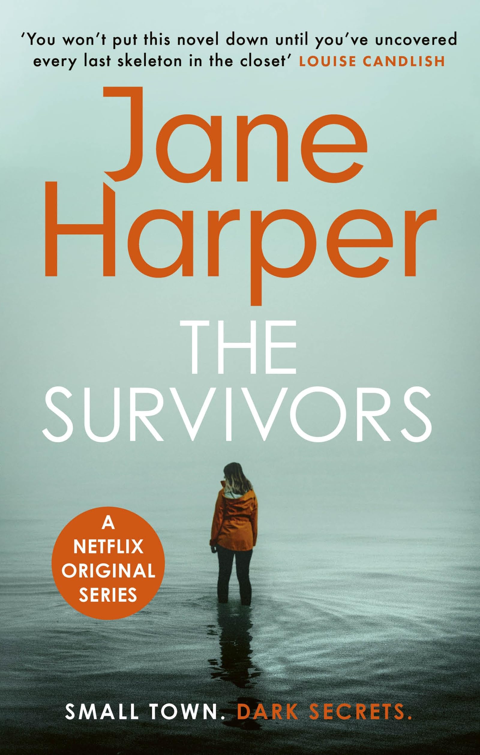 The Survivors Contemporary literature Books