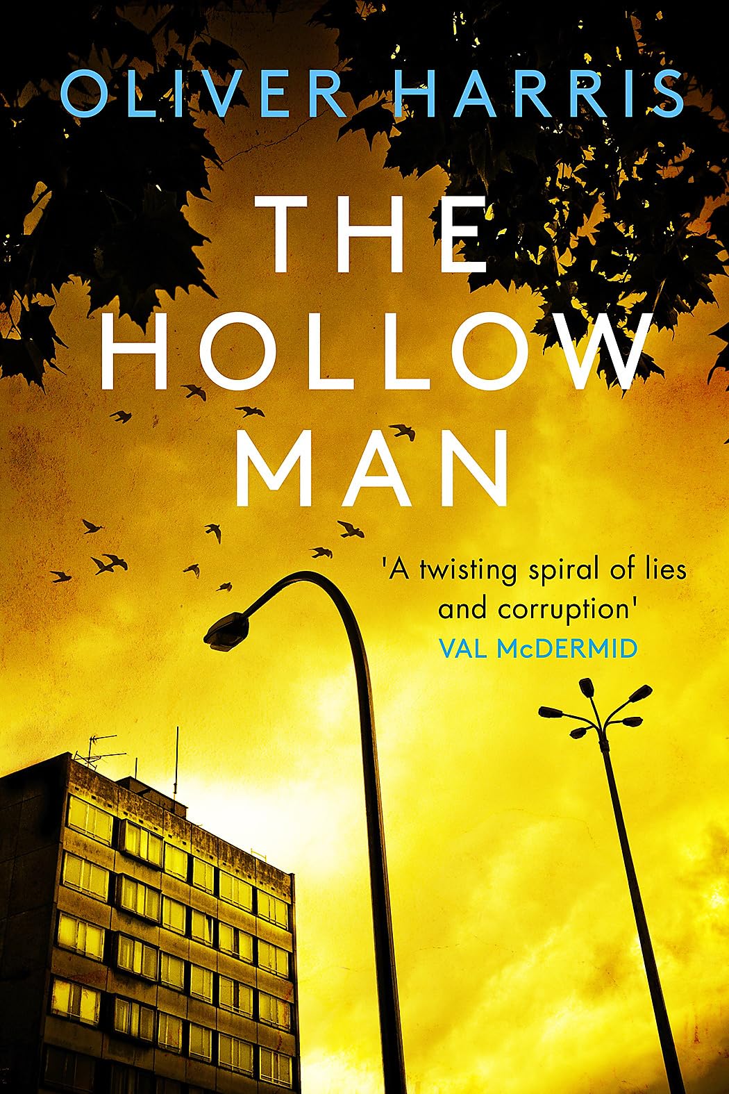The Hollow Man Contemporary literature Books