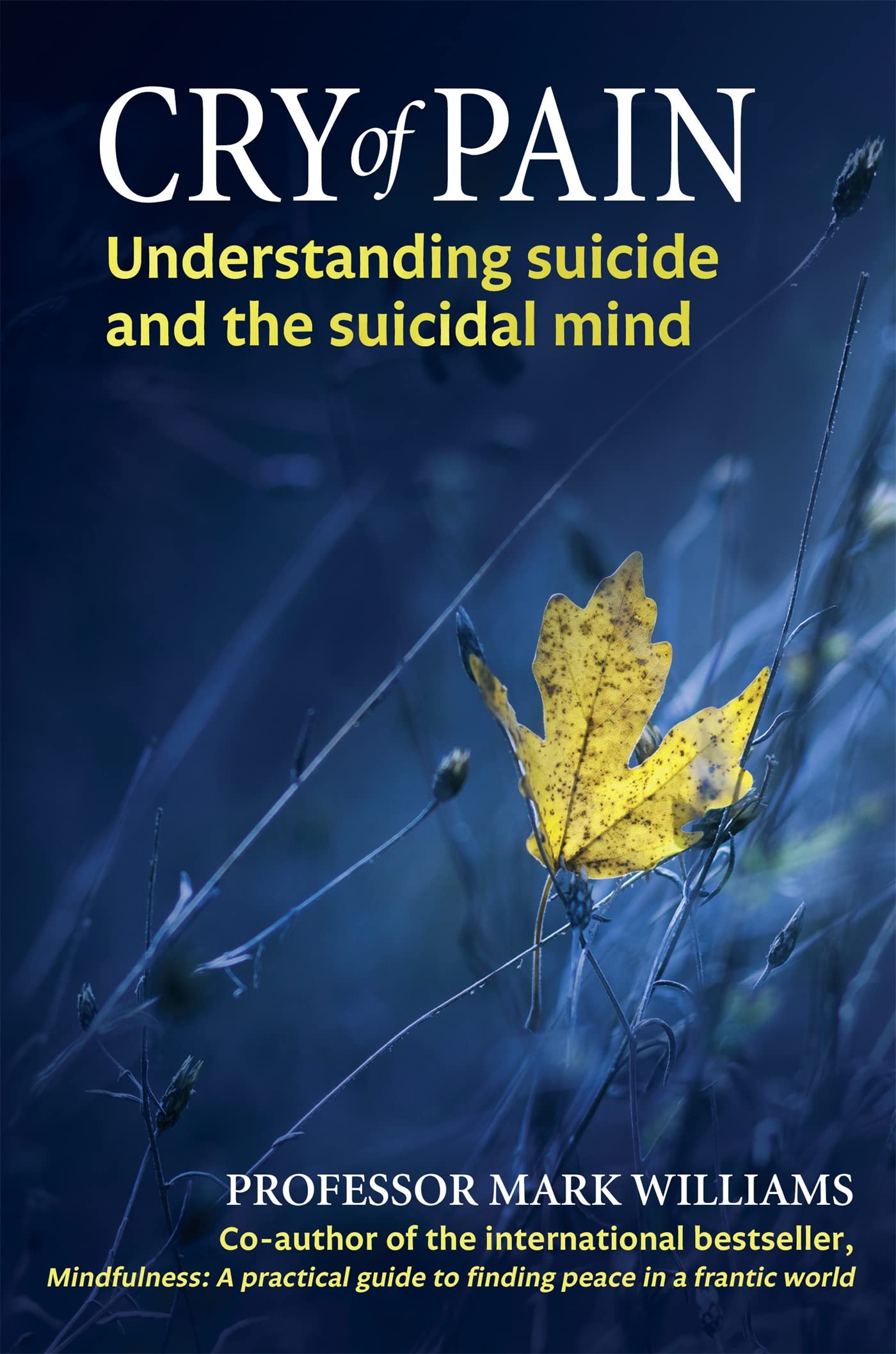 Cry of Pain: Understanding Suicide and the Suicidal Mind book