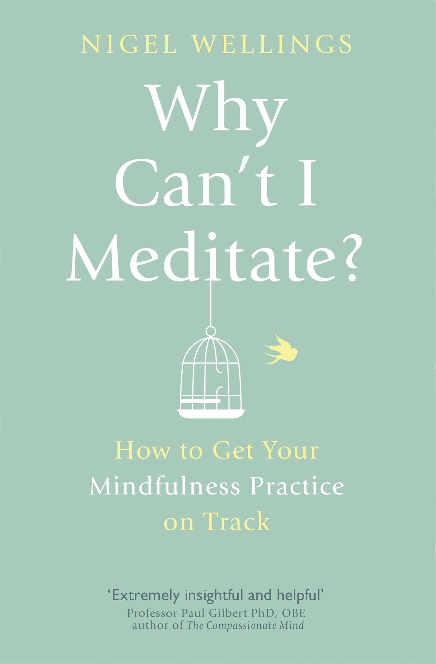 Wellings, N: Why Can't I Meditate? Lifestyle