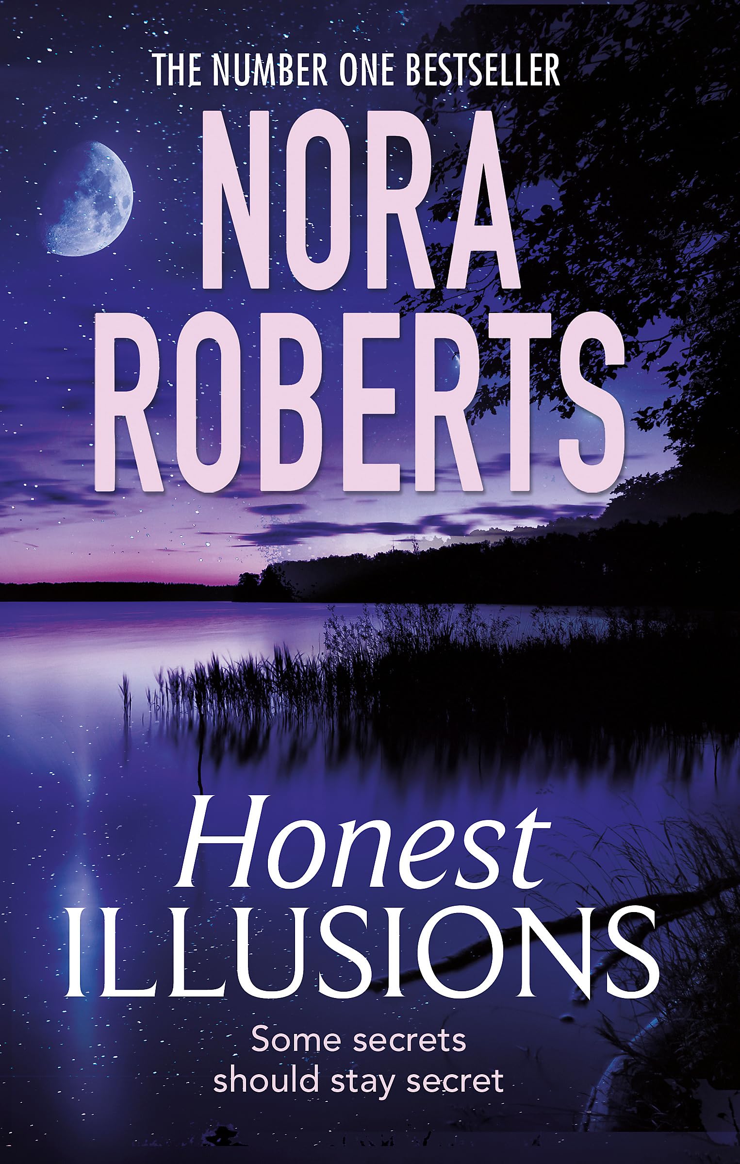 Honest Illusions Contemporary literature Books