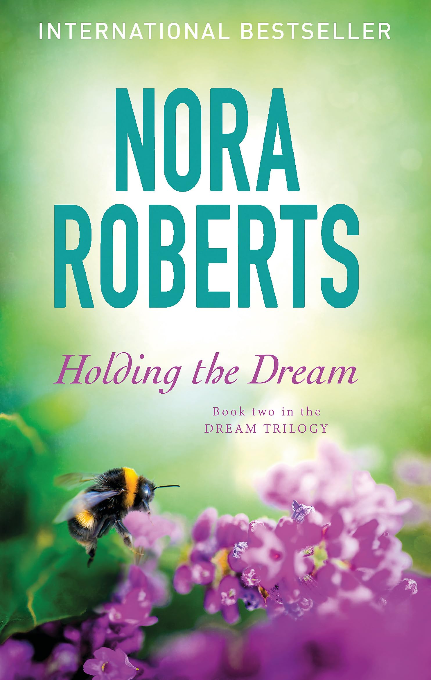 Holding The Dream: Number 2 in series (Dream Trilogy) Contemporary literature