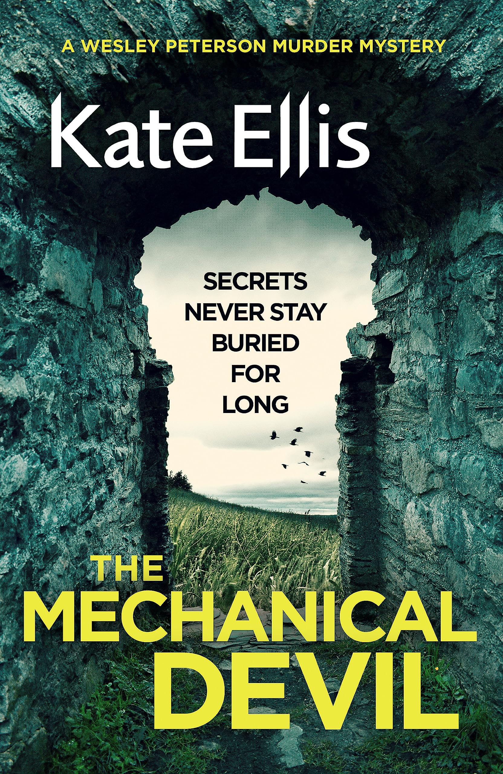 The Mechanical Devil: Book 22 in the DI Wesley Peterson crime series Historical Fiction