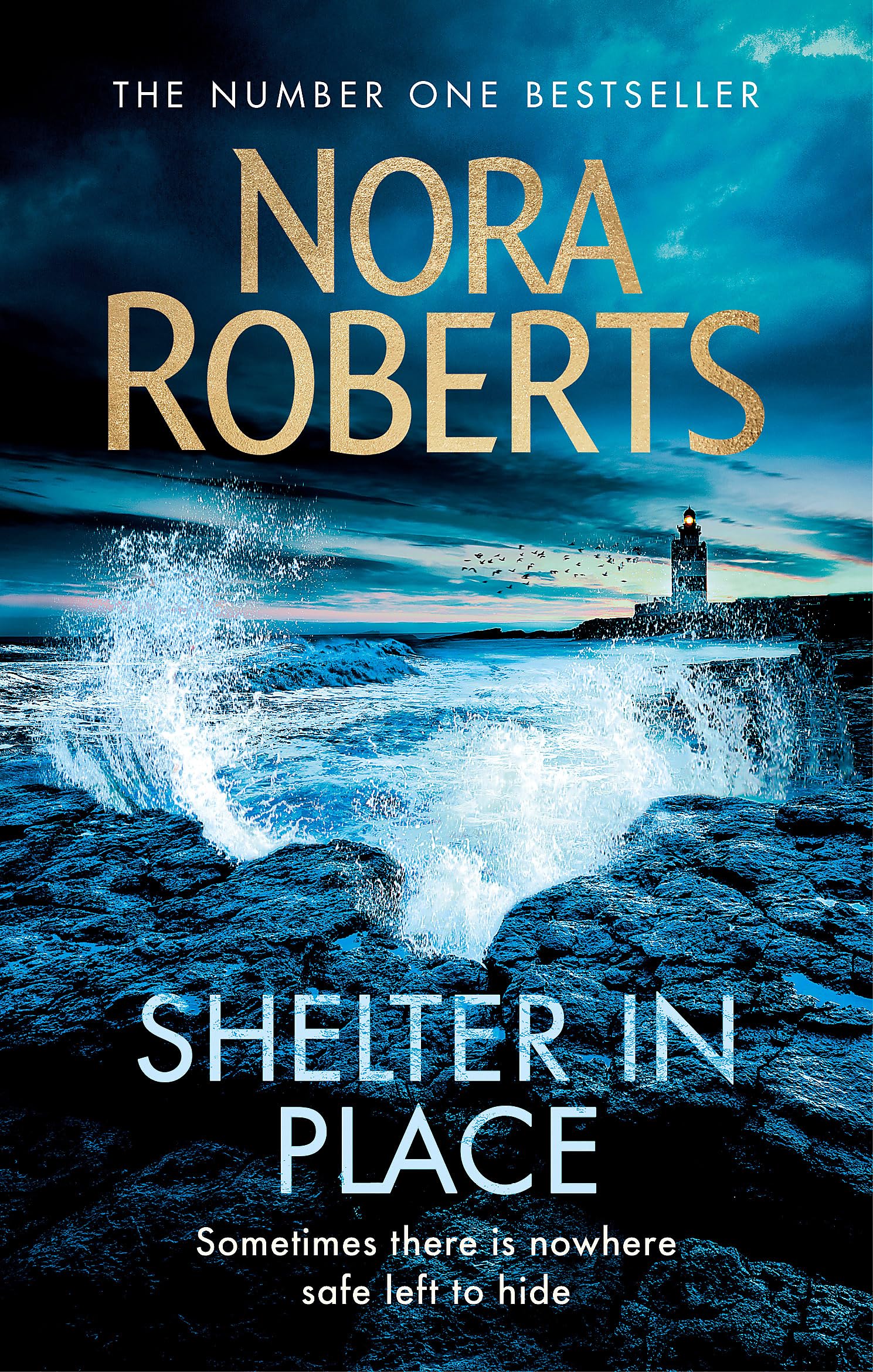 Shelter in Place Contemporary literature Books