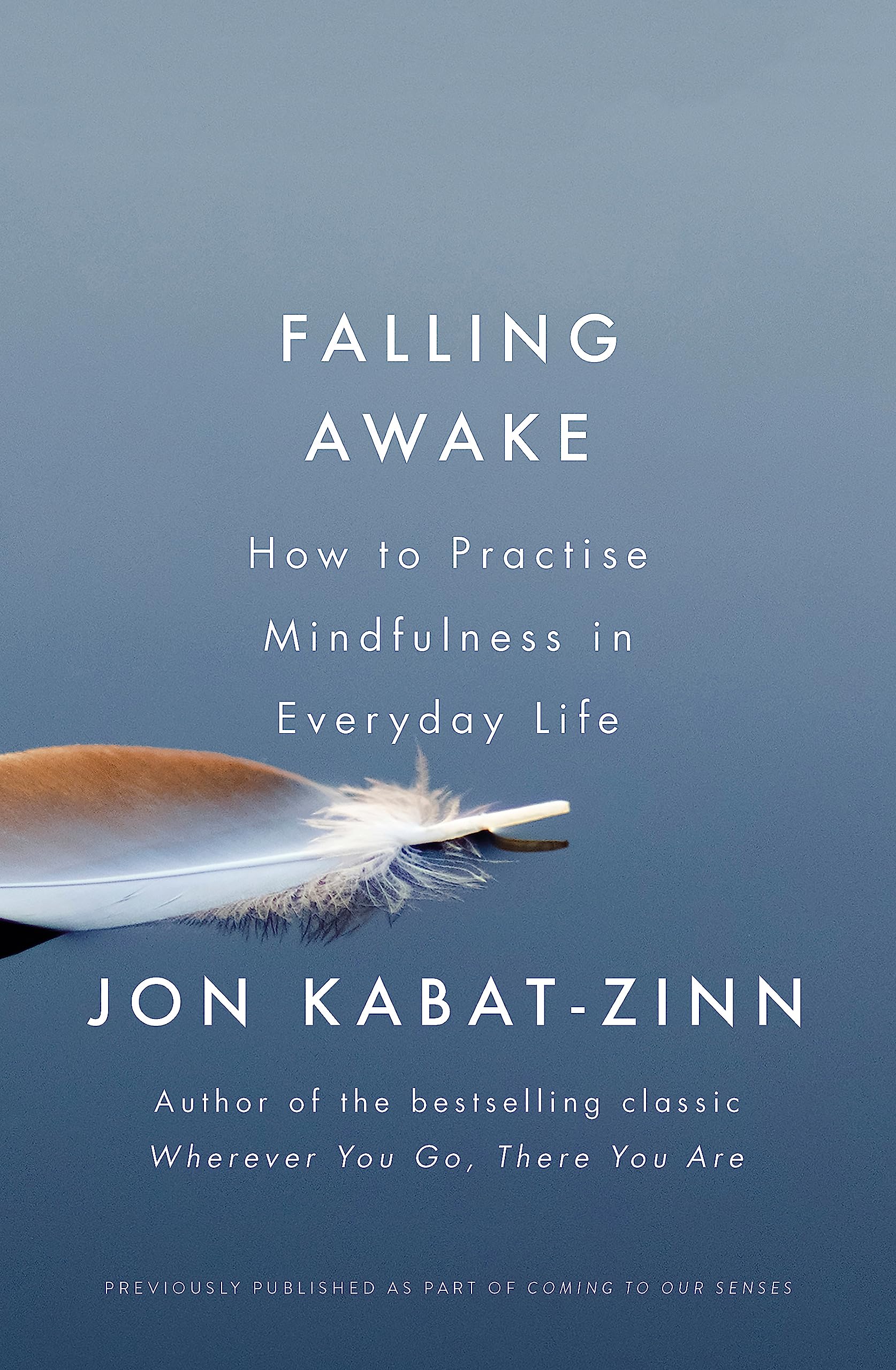 Falling Awake Lifestyle