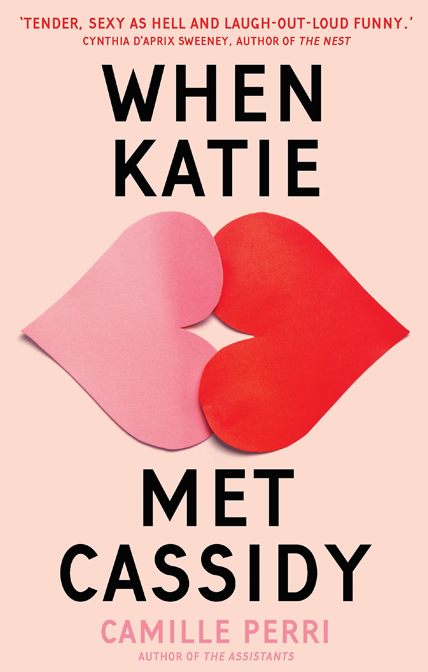 When Katie Met Cassidy Contemporary literature Books