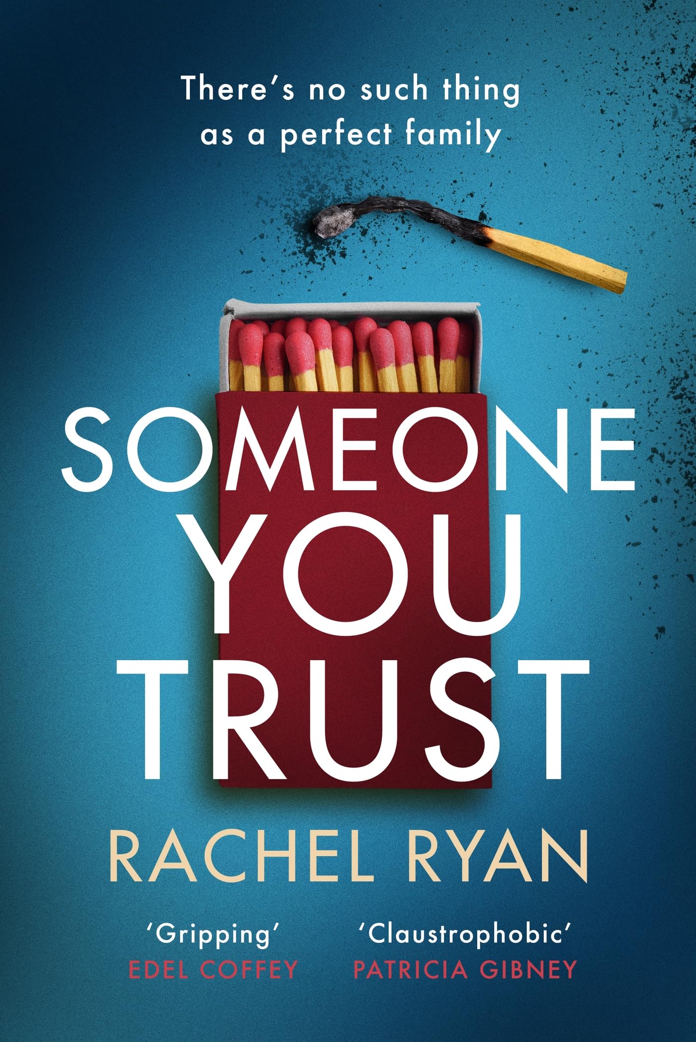 Someone You Trust: A gripping, emotional thriller with a jaw-dropping twist Contemporary literature