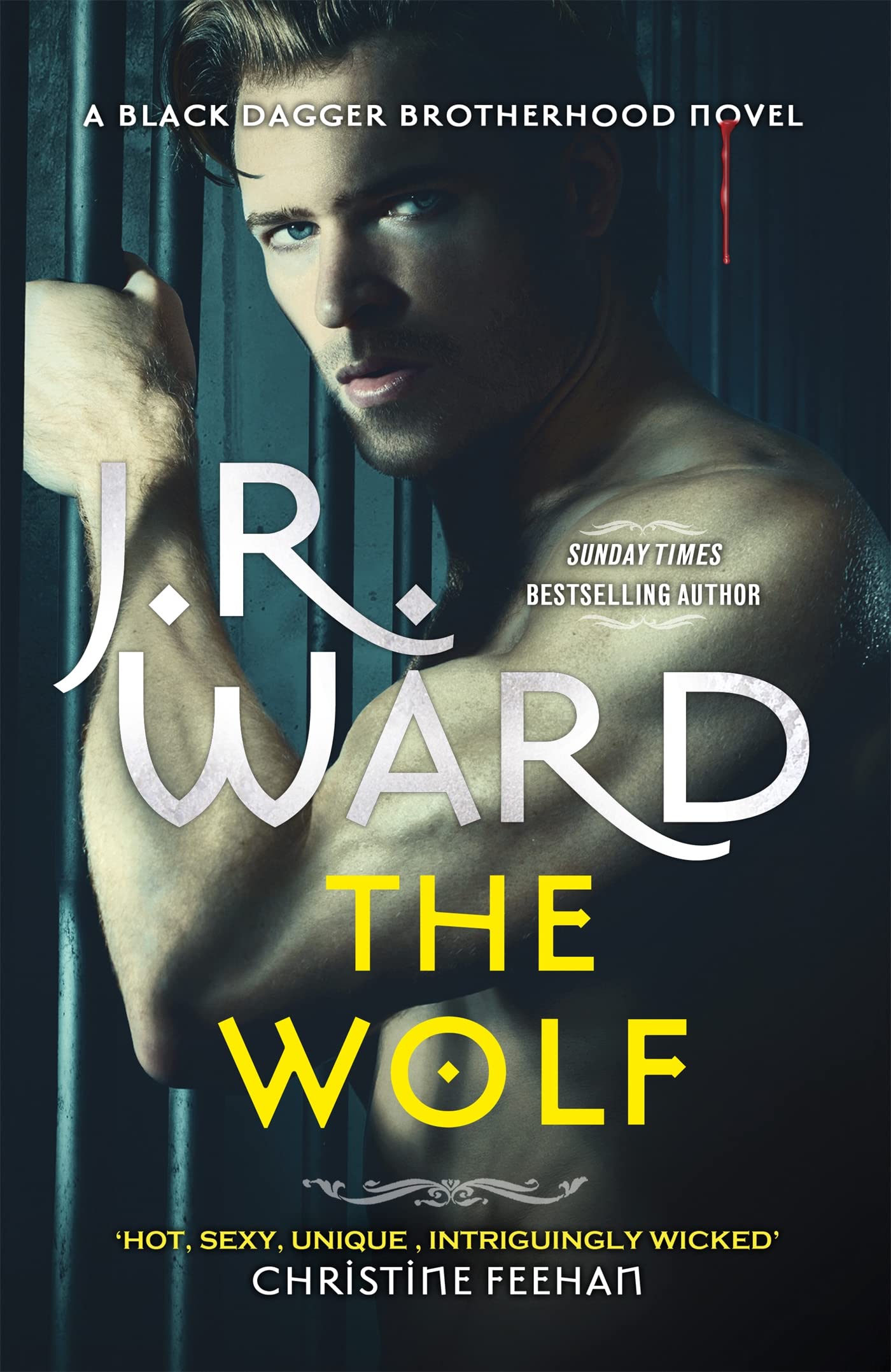 The Wolf: Book Two in The Black Dagger Brotherhood Prison Camp Contemporary literature