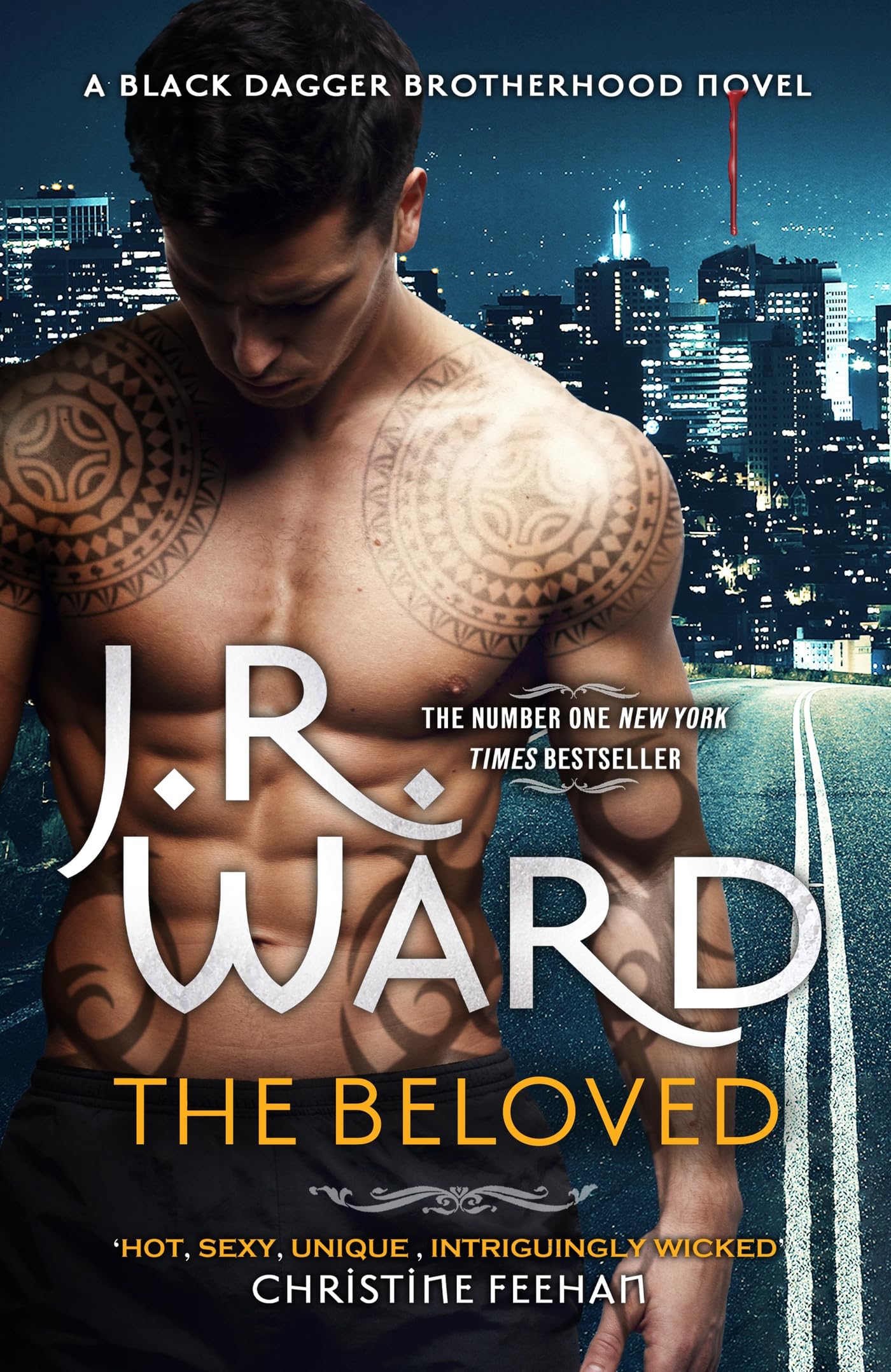 The Beloved (Black Dagger Brotherhood) Contemporary literature