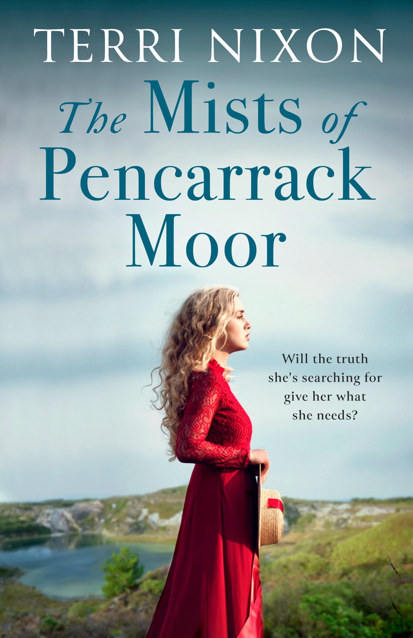 The Mists of Pencarrack Moor book
