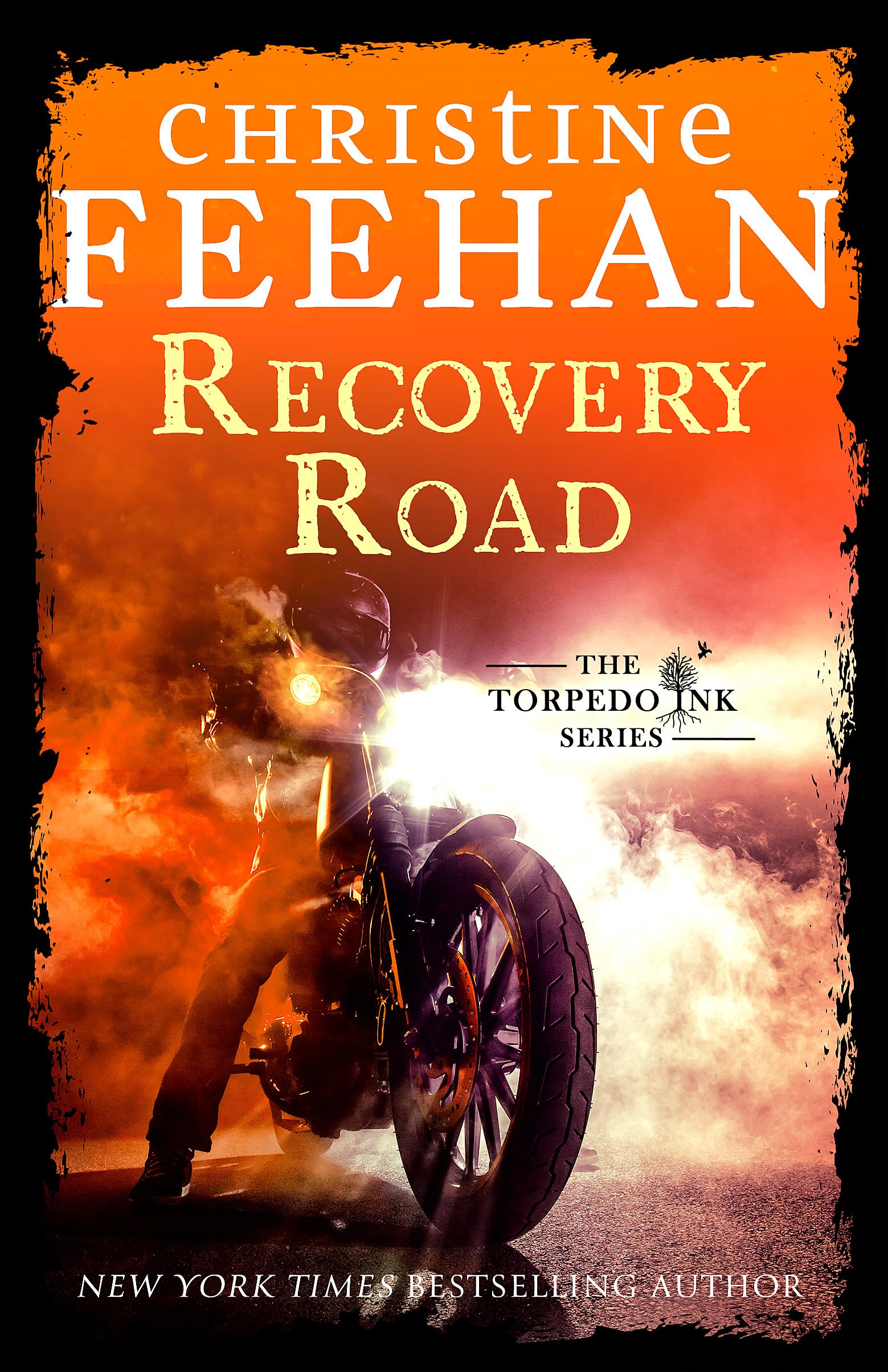 Recovery Road Contemporary literature Books