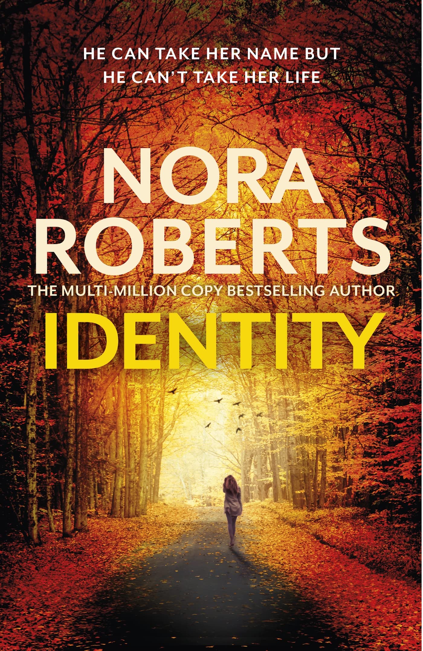 Identity: The gripping new drama from the multi-million copy bestselling author Contemporary literature