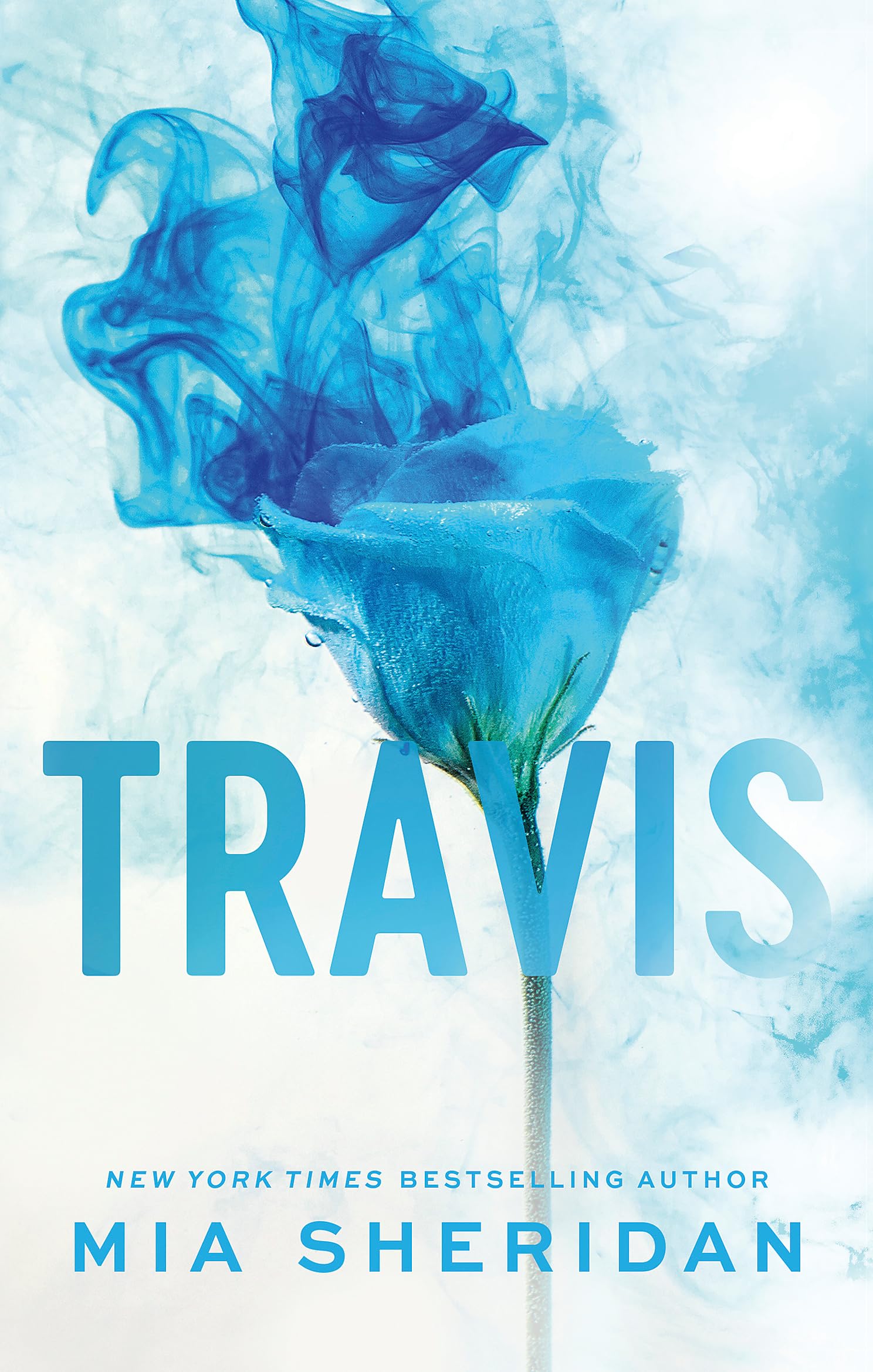 Travis: The emotional follow up to the TikTok sensation ARCHER'S VOICE Contemporary literature