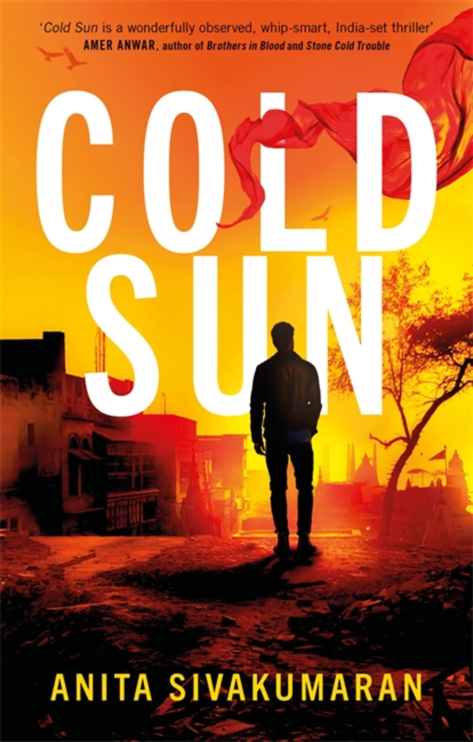 Cold Sun: An utterly gripping crime thriller packed with suspense (Detective Vijay Patel) Action & Adventure