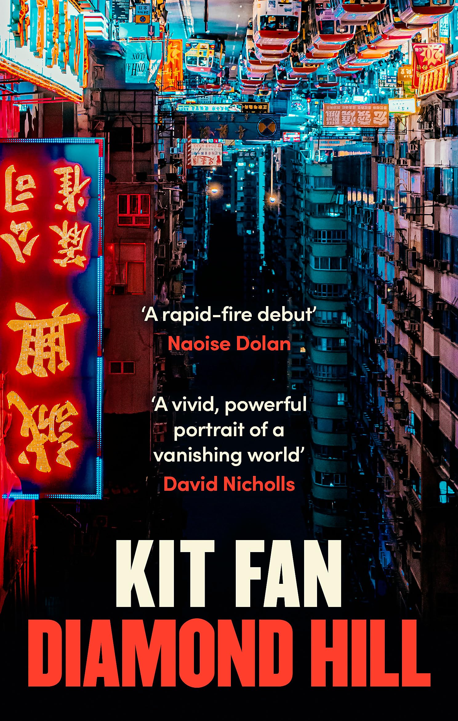 Diamond Hill: Totally unputdownable and evocative literary fiction Contemporary literature