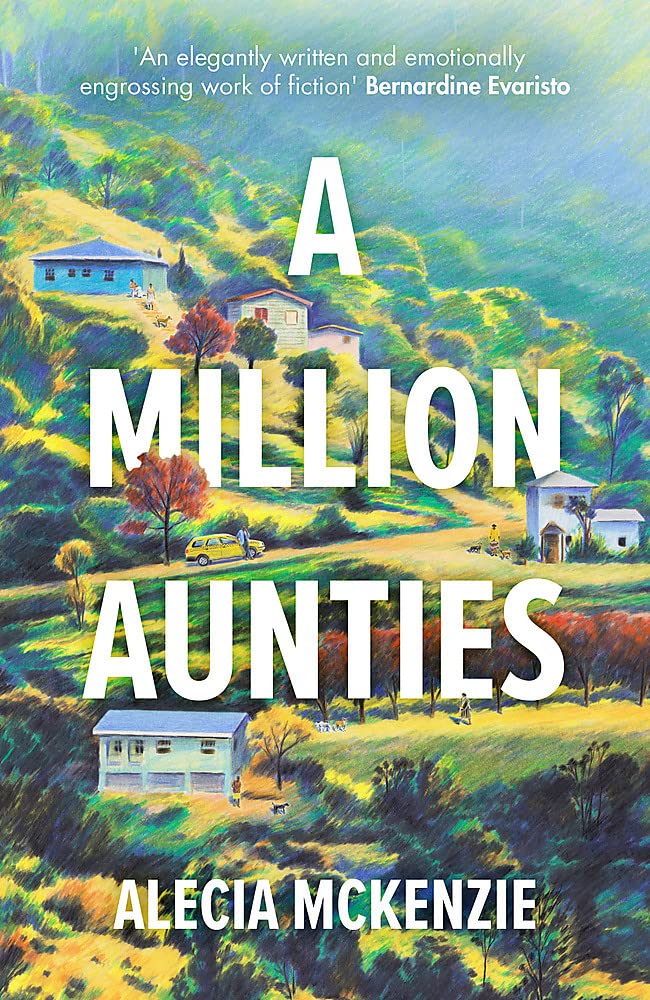 A Million Aunties: An emotional, feel-good novel about friendship, community and family Contemporary literature Books