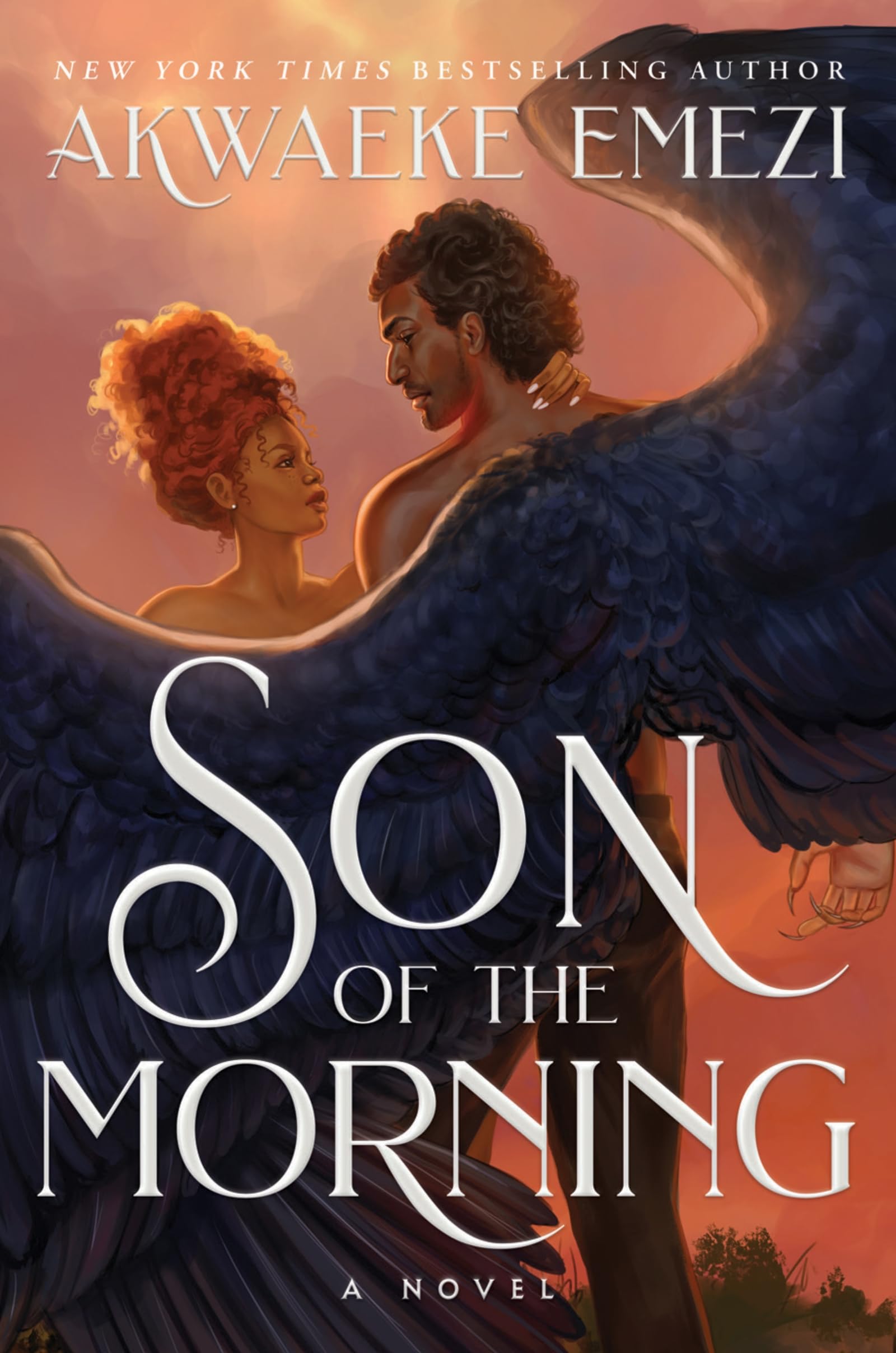 Son of the Morning Social Sciences