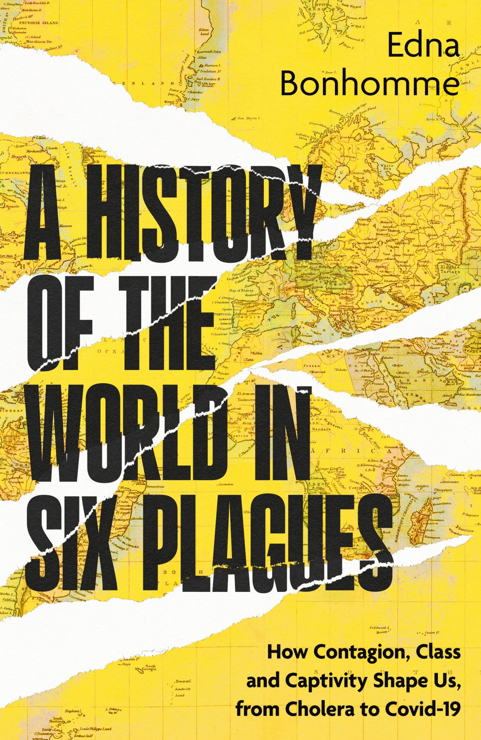 A History of the World in Six Plagues: How Contagion, Class and Captivity Shape Us, from Cholera to Covid-19 Medicine