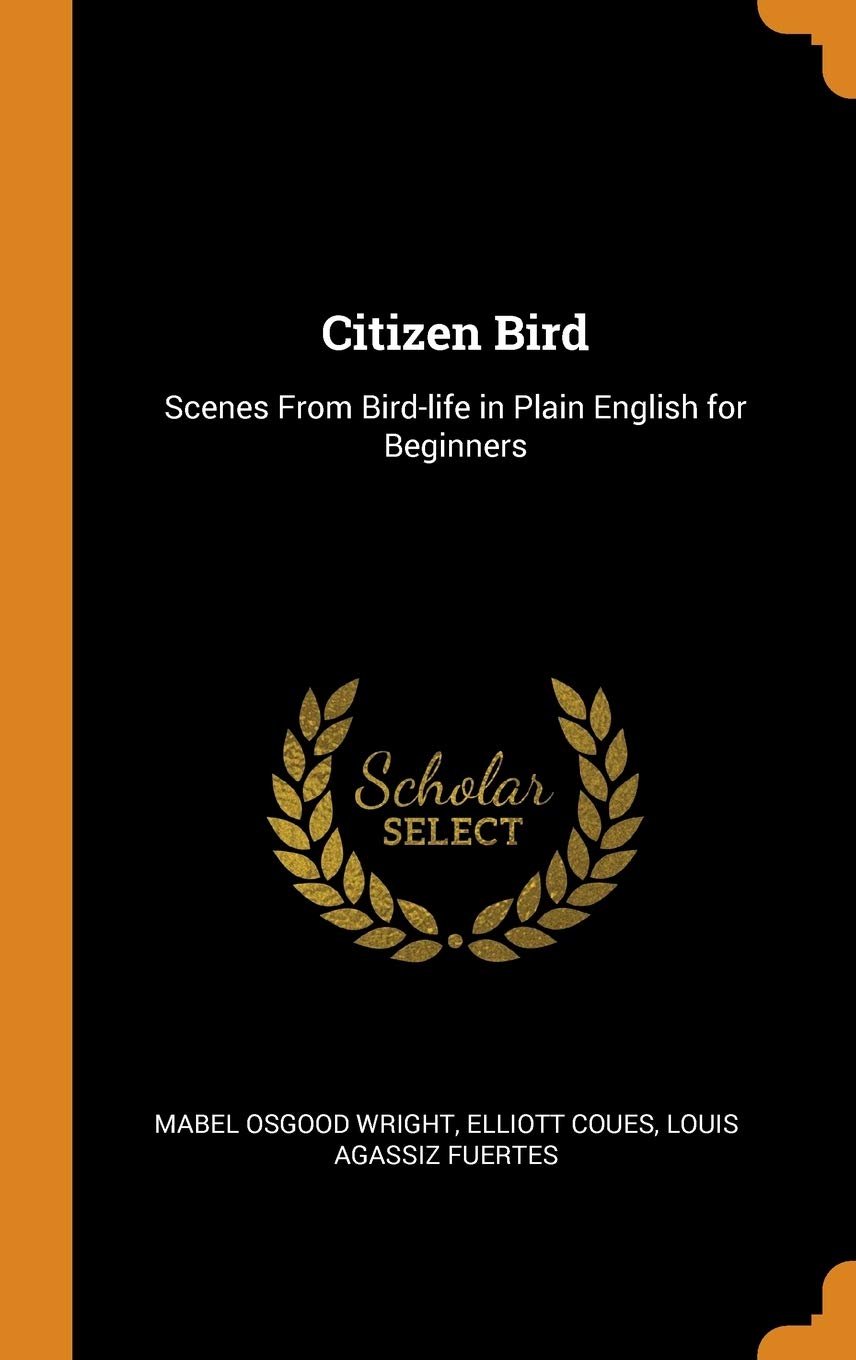 Citizen Bird: Scenes from Bird-Life in Plain English for Beginners Politics & History