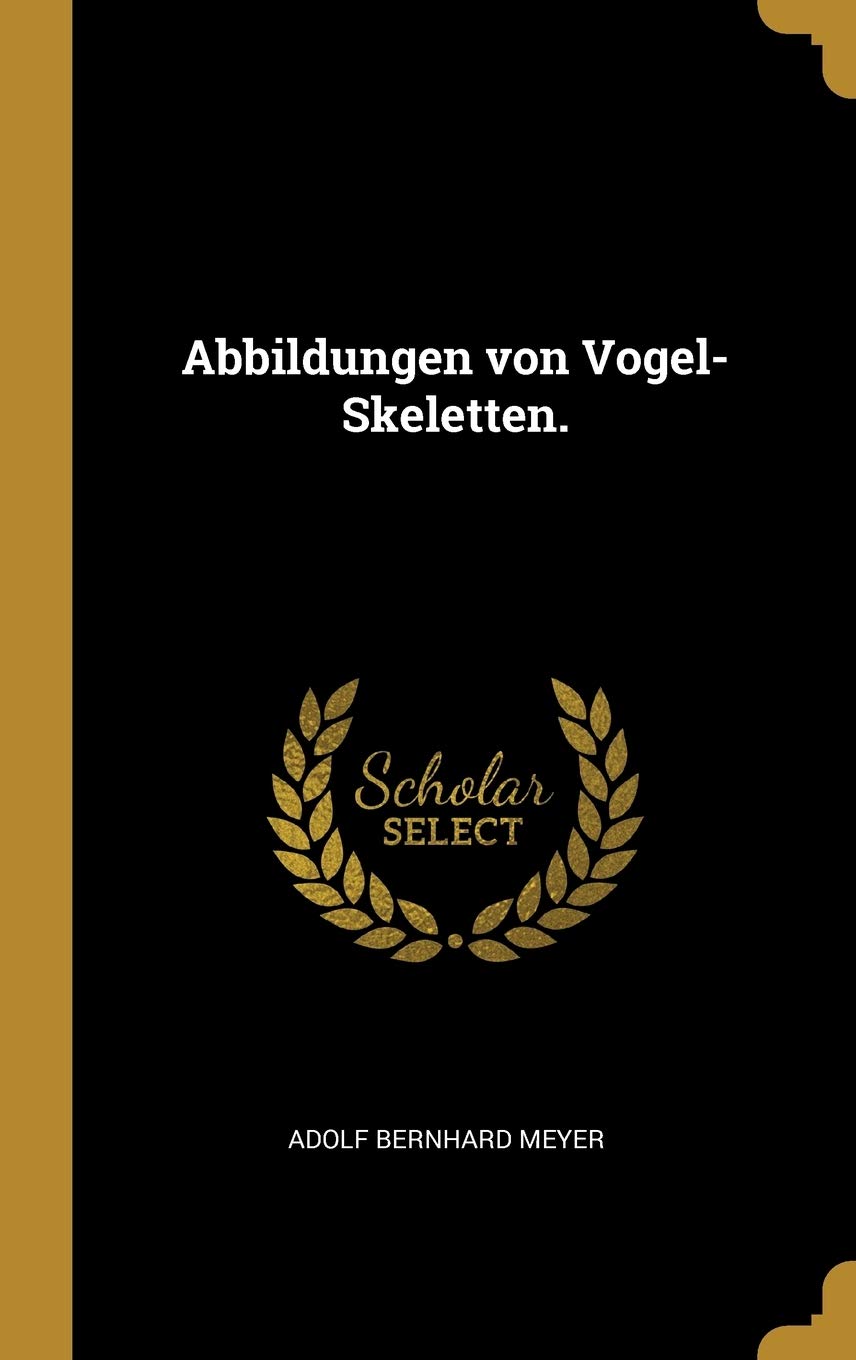 Product Image: Abbildungen von Vogel-Skeletten.