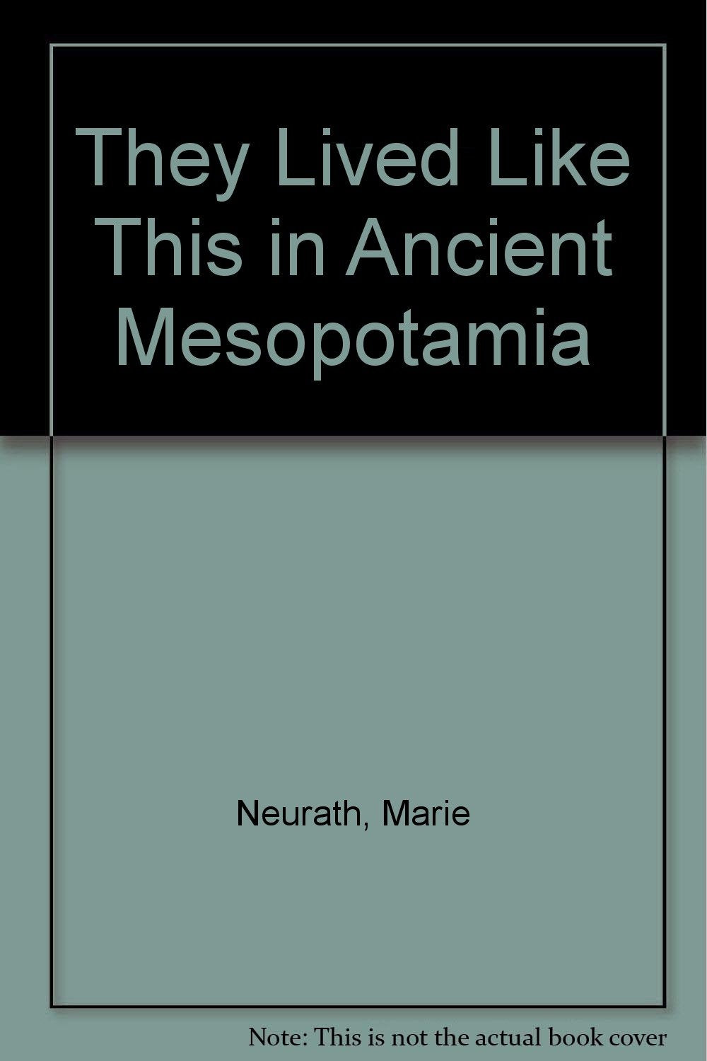 They Lived Like This in Ancient Mesopotamia Books