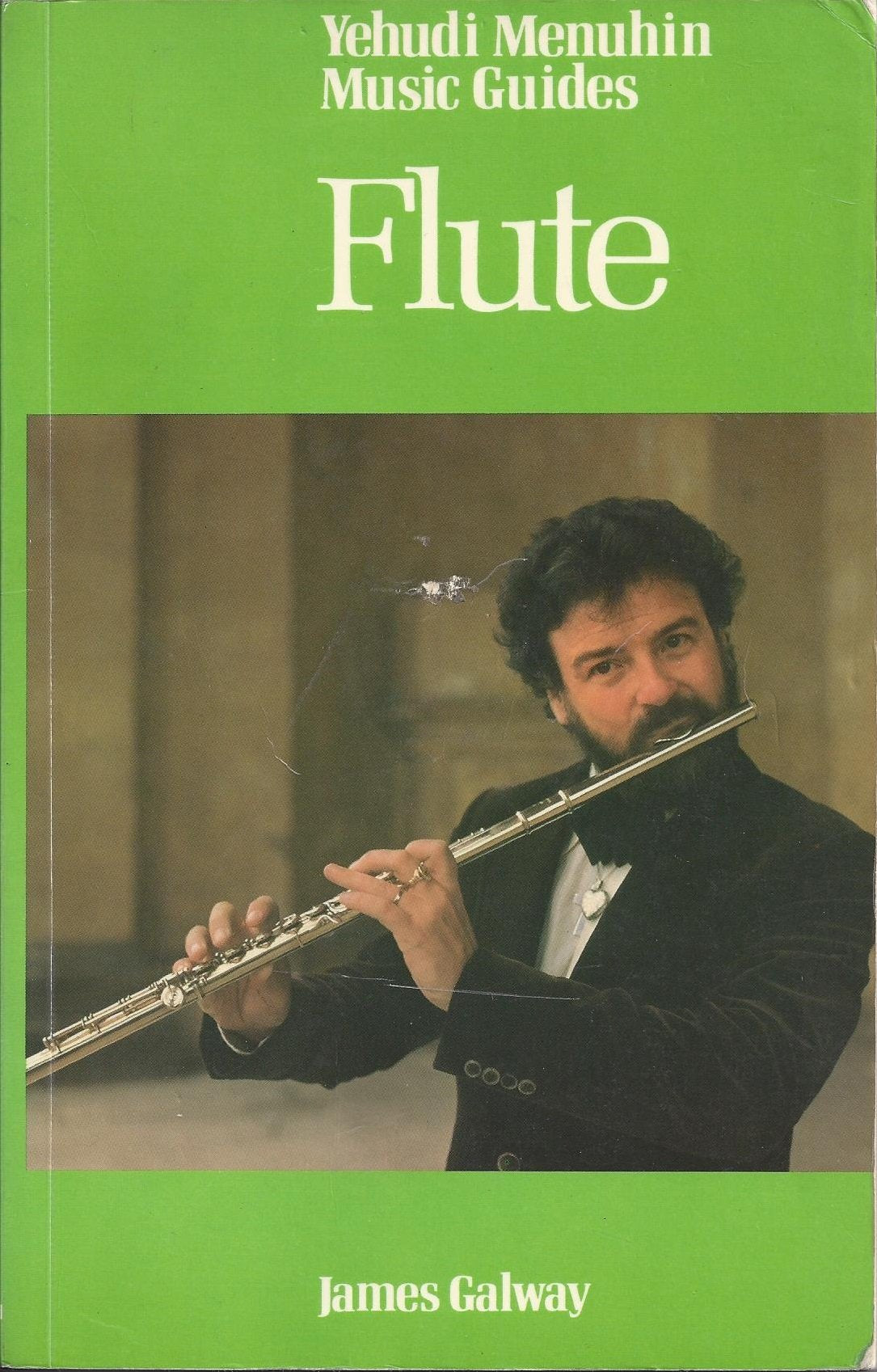 Flute (Yehudi Menuhin Music Guides) Books