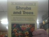 Macdonald Encyclopaedia of Shrubs and Trees (Macdonald encyclopedias) Mathematics