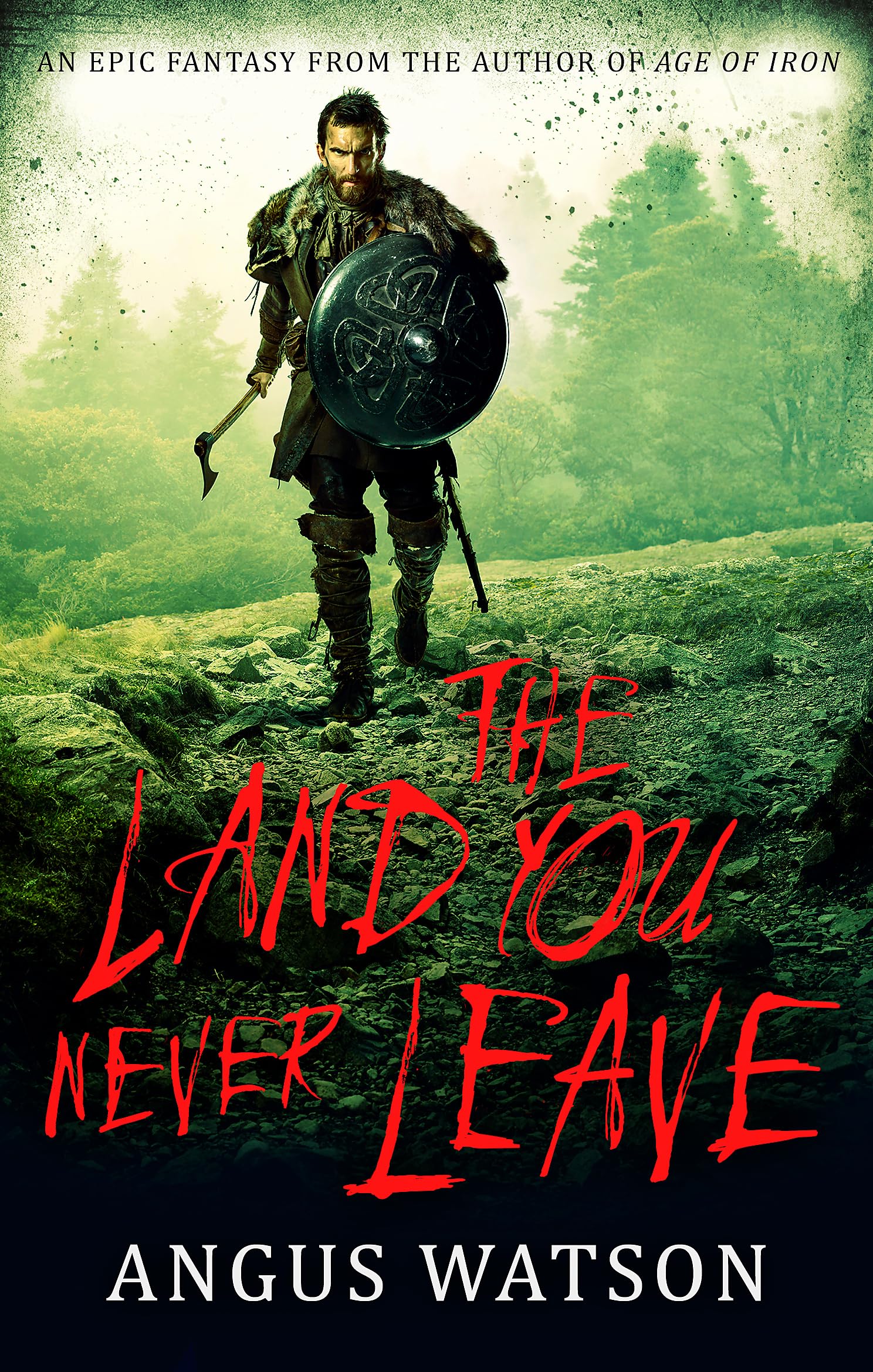 The Land You Never Leave Historical Fiction