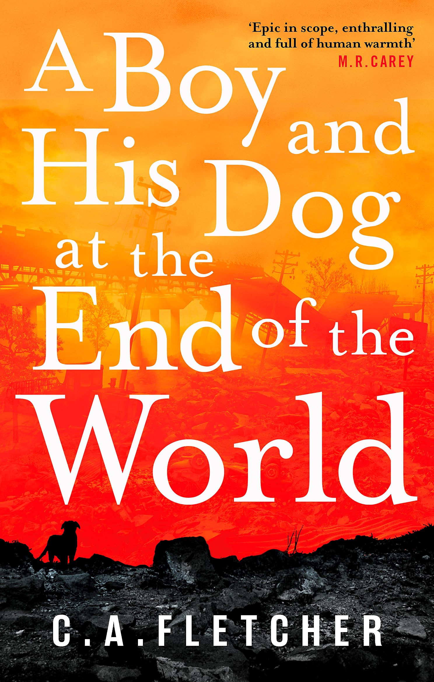 A Boy and his Dog at the End of the World Contemporary literature