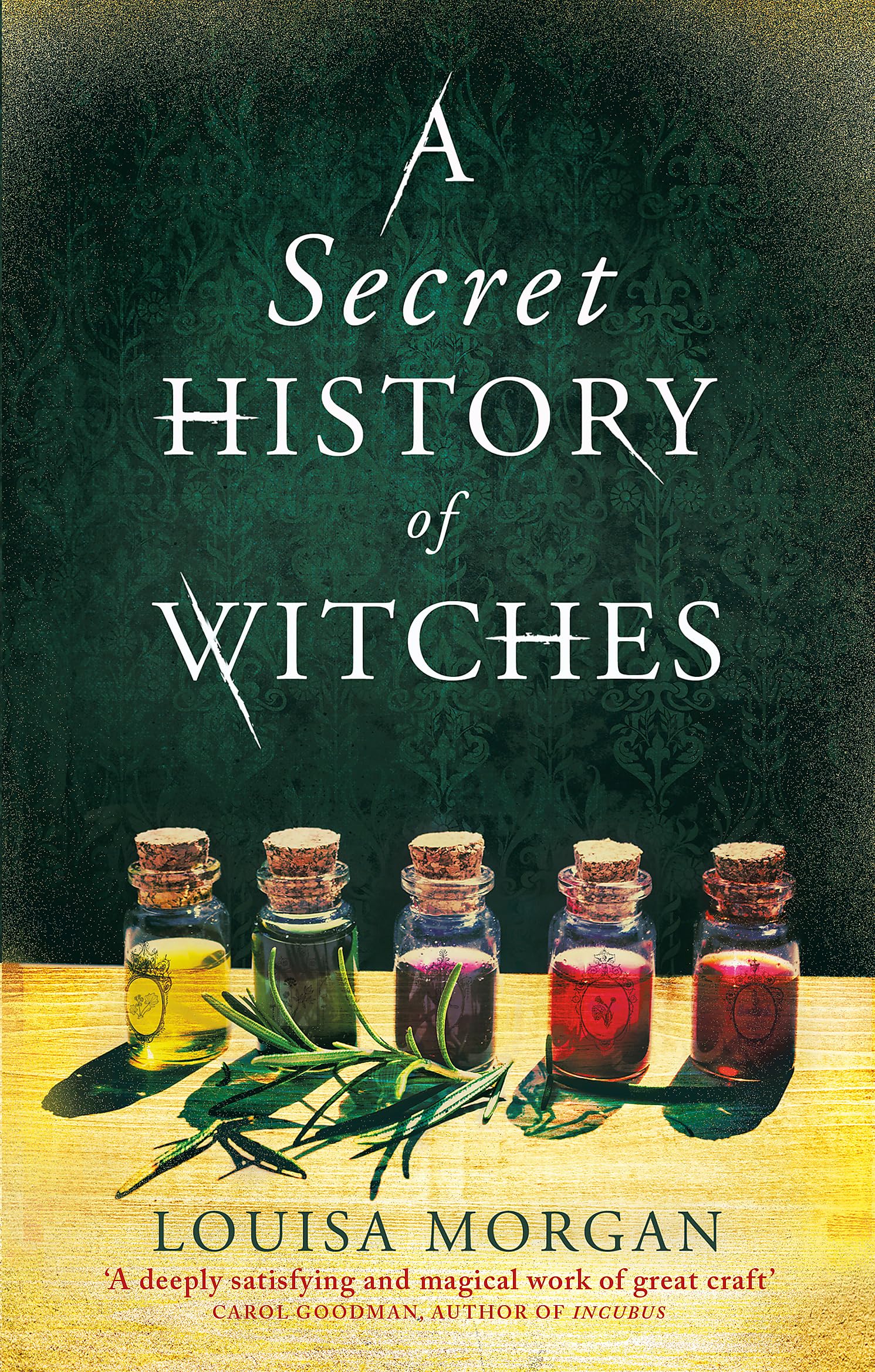 A Secret History of Witches Historical Fiction