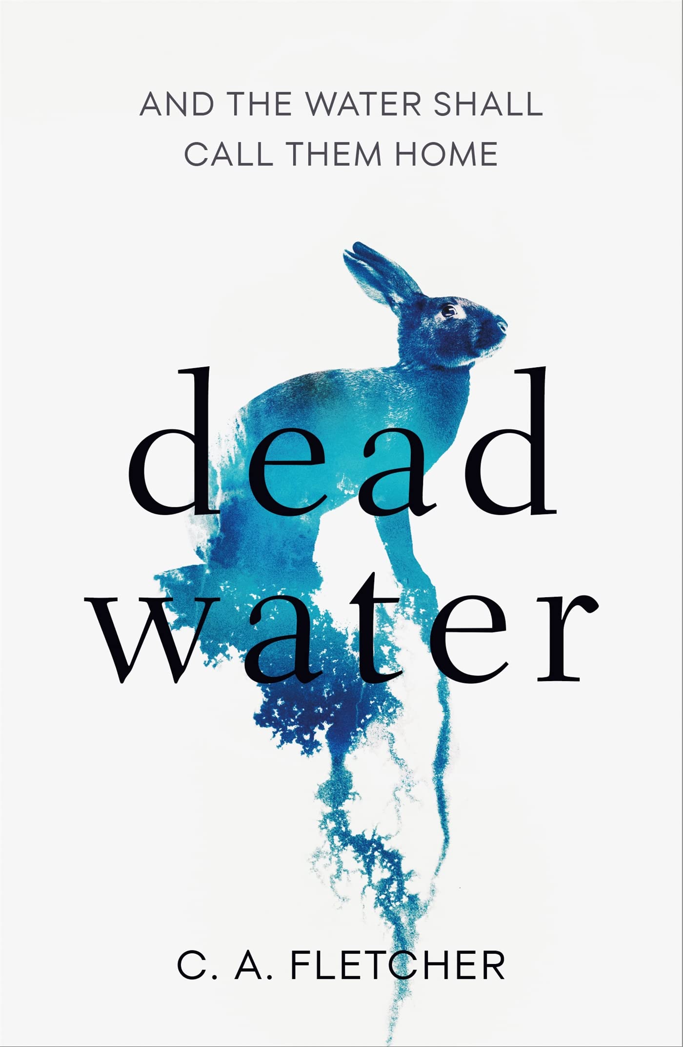 Dead Water: A novel of folk horror Fantasy & Sci-Fi