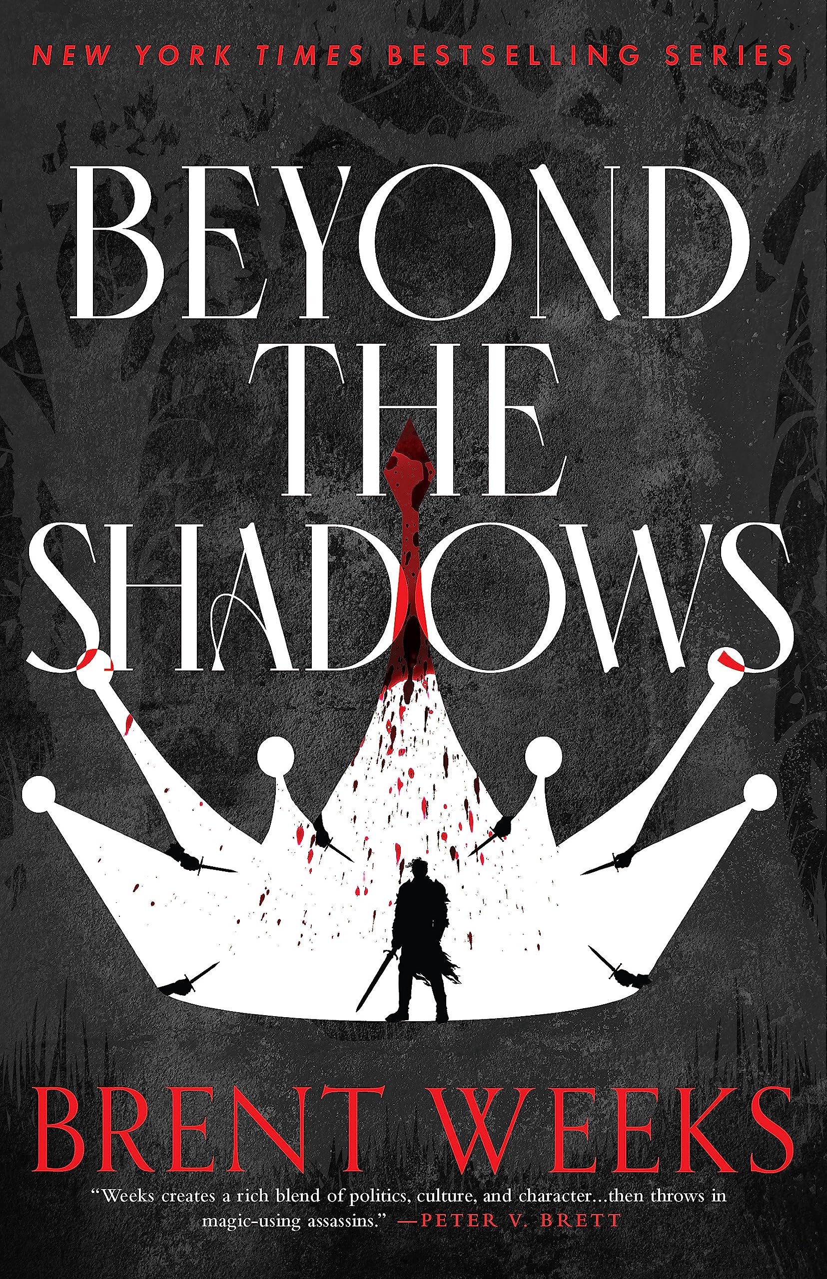 Beyond The Shadows: Book 3 of the Night Angel Books