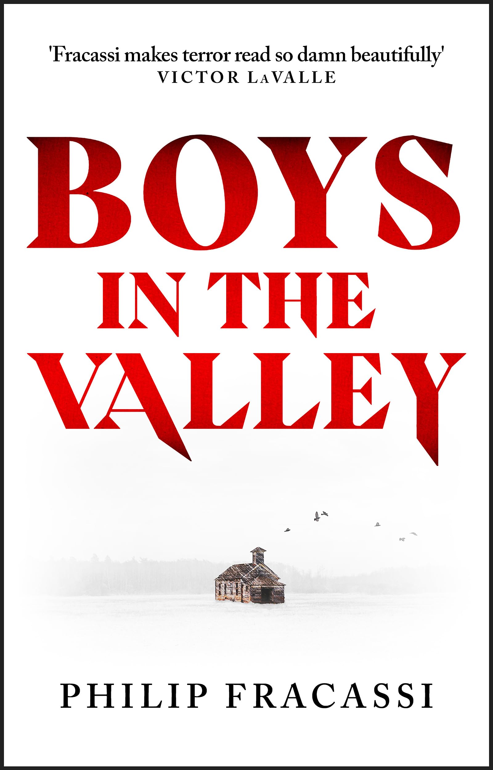 Boys in the Valley Books