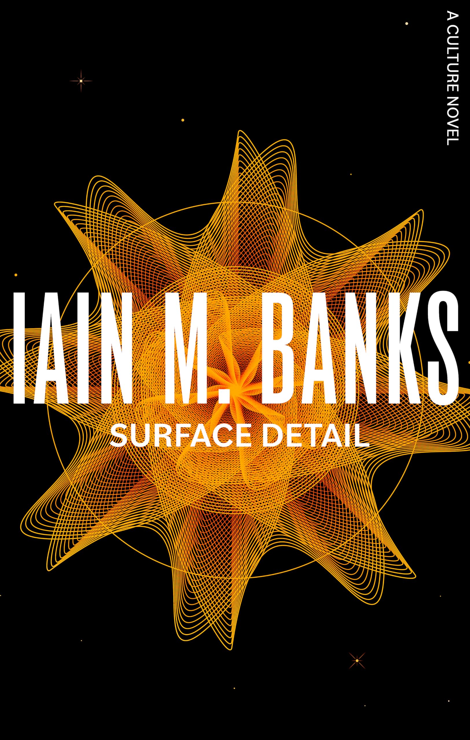 Surface Detail: A Culture Novel Contemporary literature