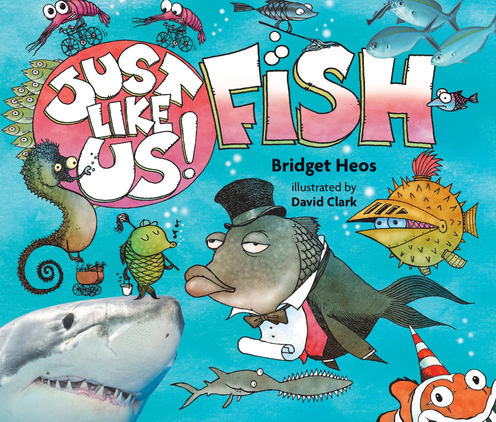 Just Like Us! Fish Geology & Geography