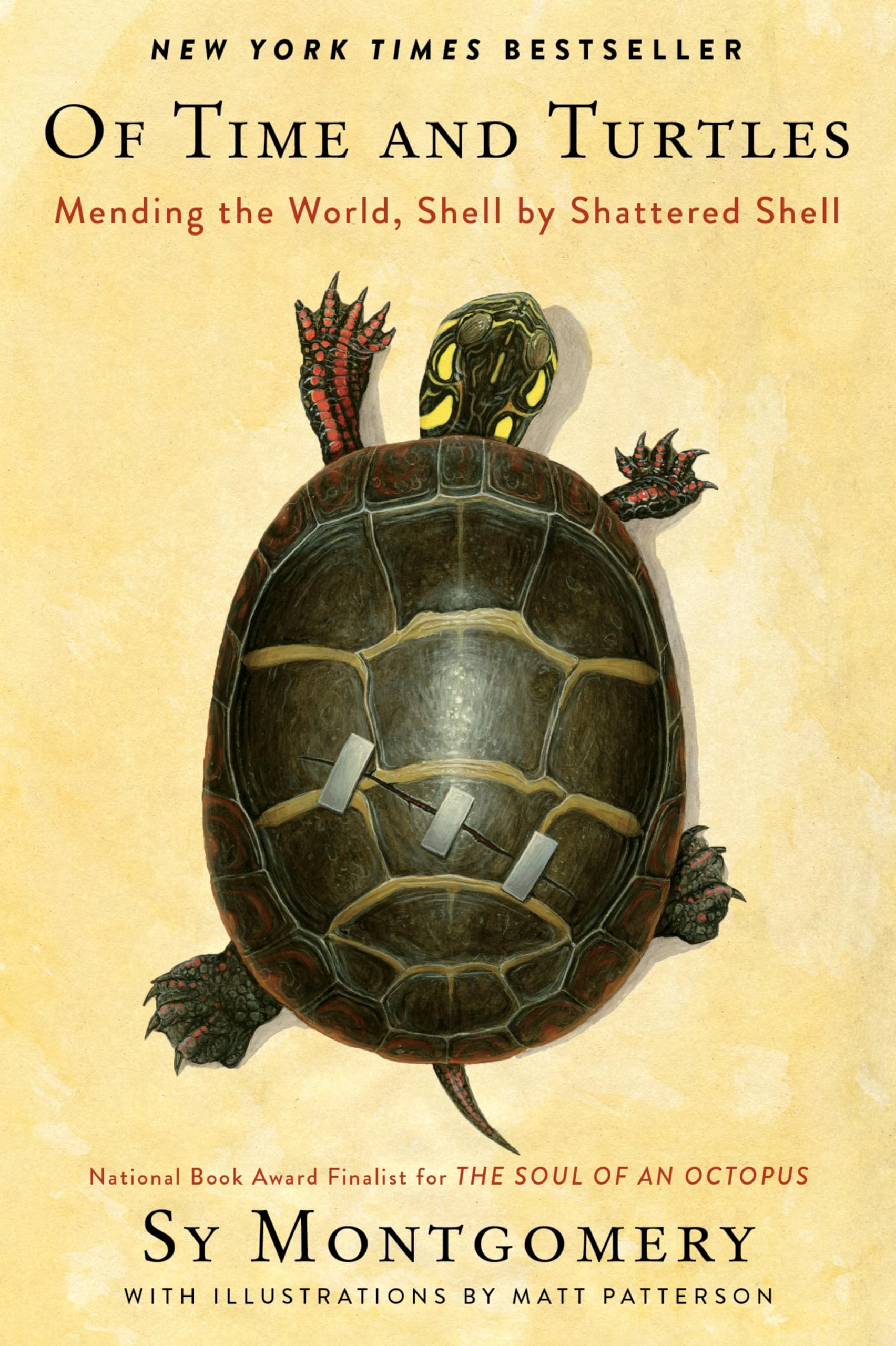 Of Time and Turtles: Mending the World, Shell by Shattered Shell Books
